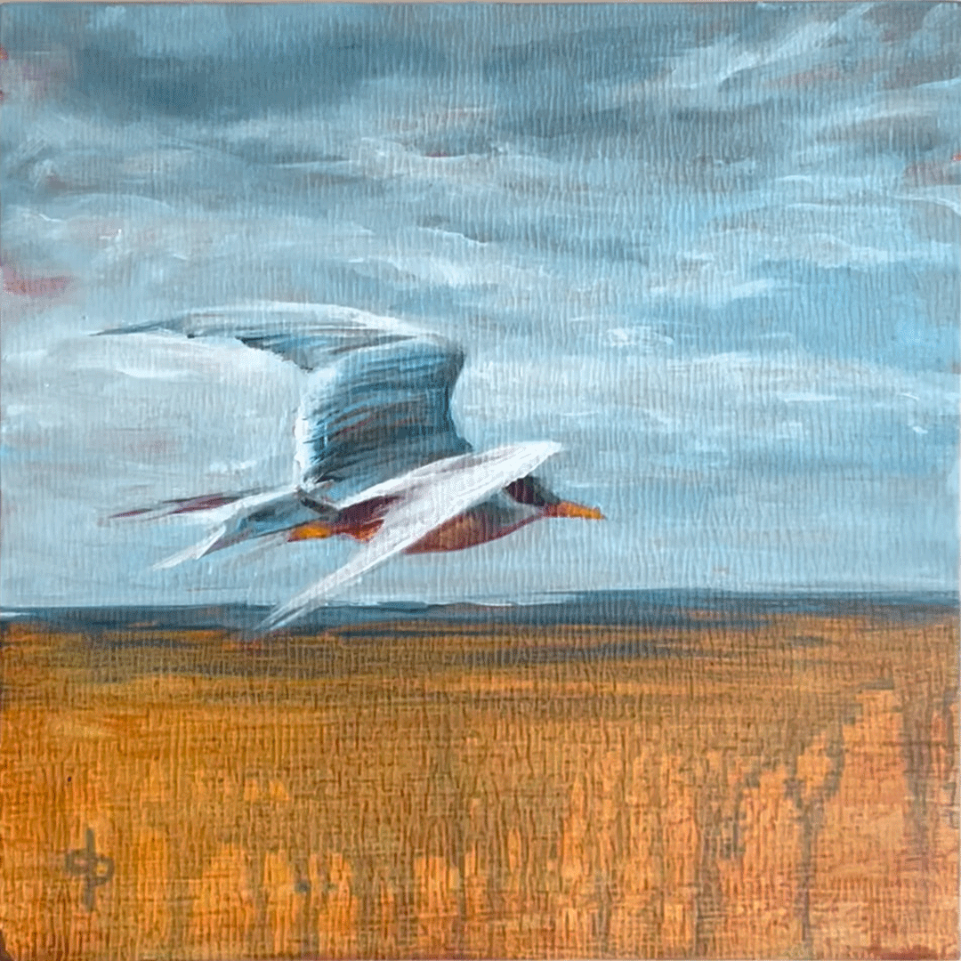 DonnaPalmersheimSHOP1080_0015_SkimmingTheSurface2.png