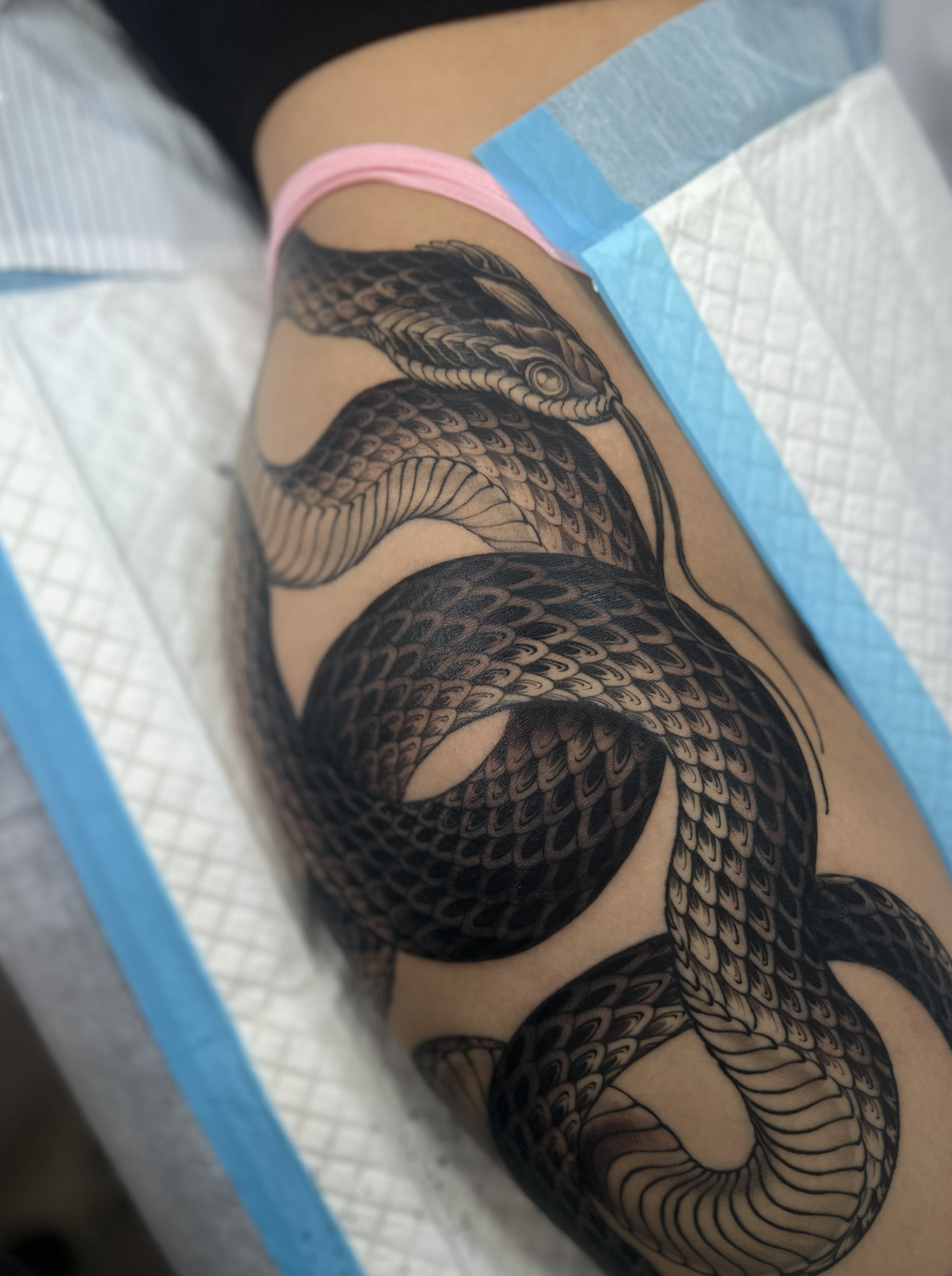 Screenshot 2026-02-03 at 7.41.35 pm.png