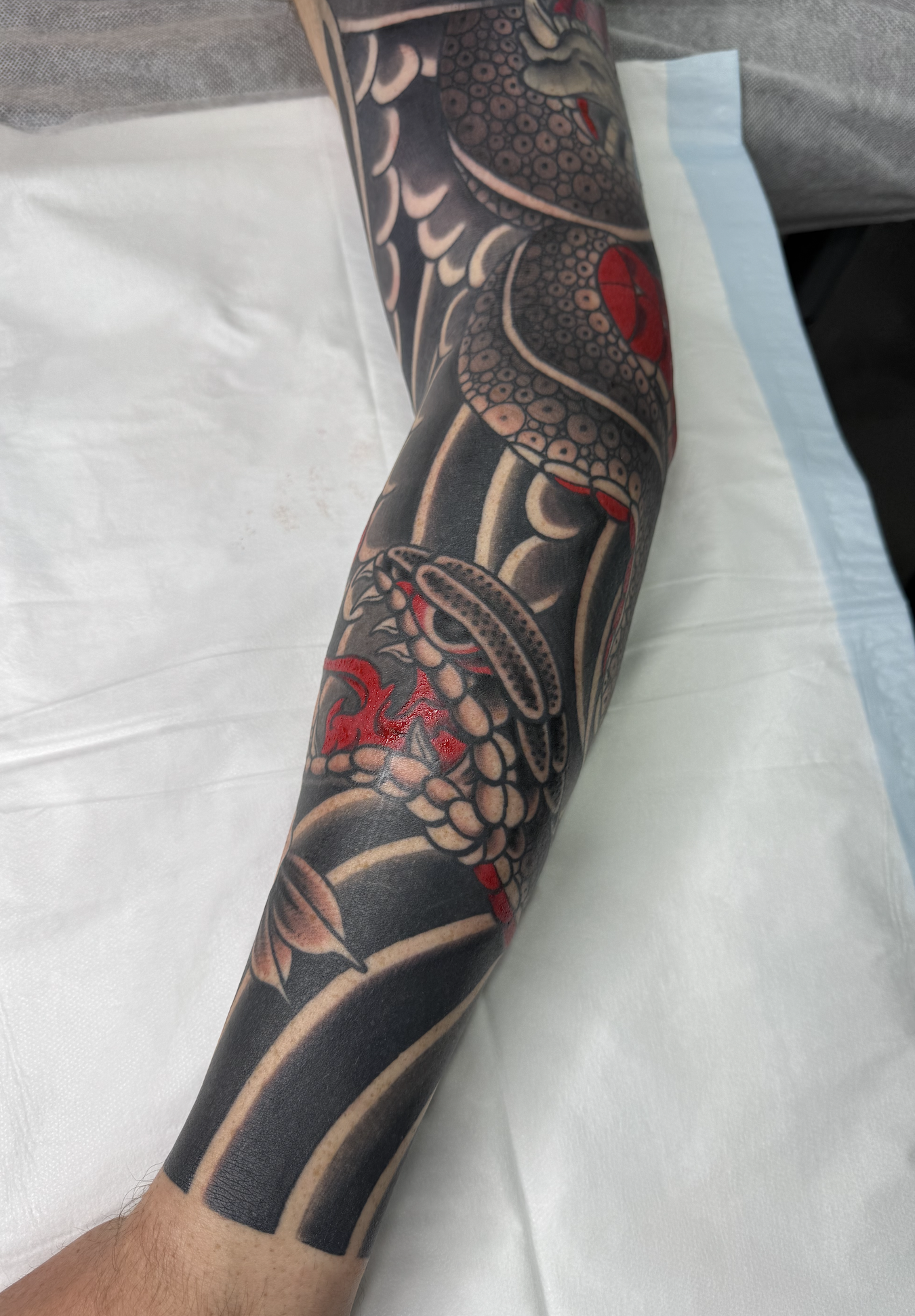 Screenshot 2026-02-03 at 6.12.31 pm.png