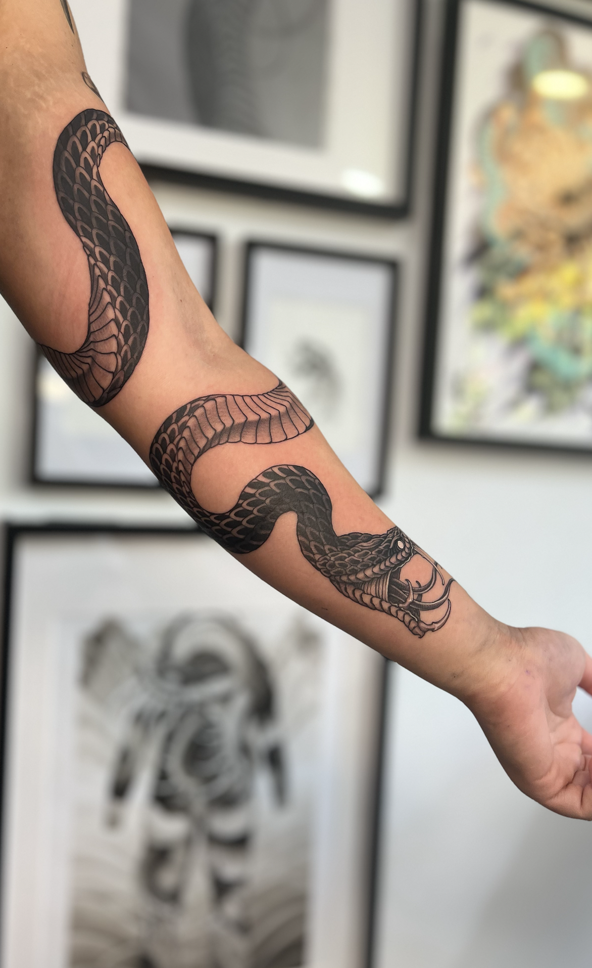 Screenshot 2026-02-03 at 7.41.46 pm.png