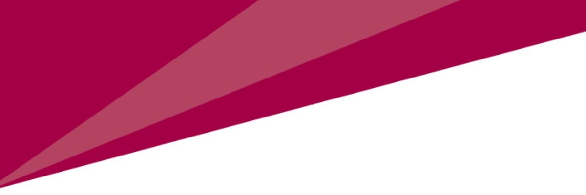 MBS Lunchtime Masterclass Series 