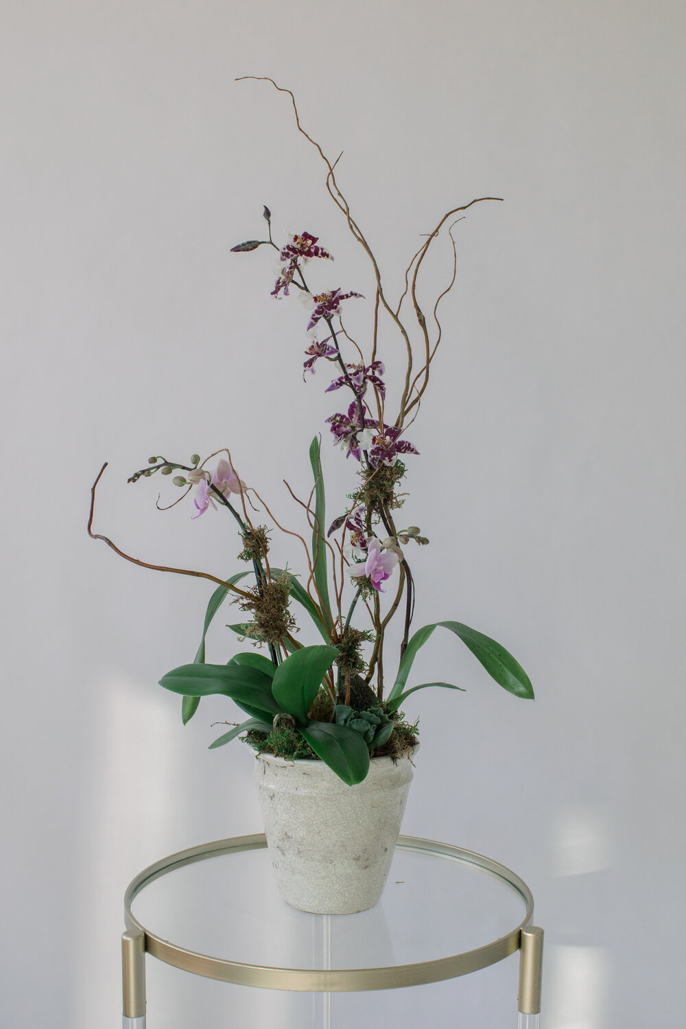 San Diego S Luxury Online Flower Gift Shop Botanicamuse