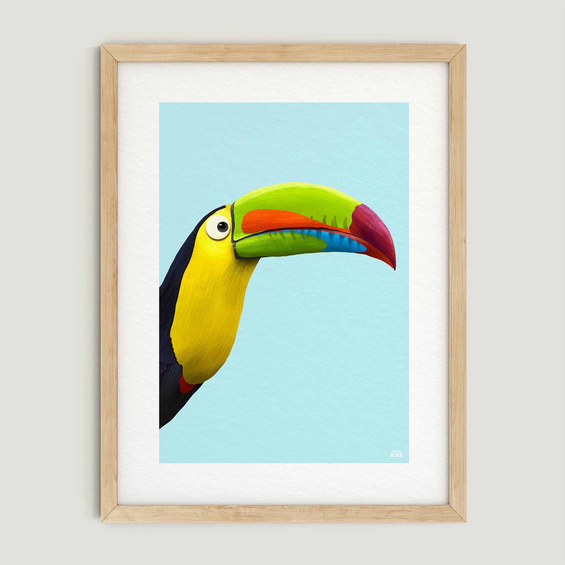 TOUCAN_V2_frame.jpg