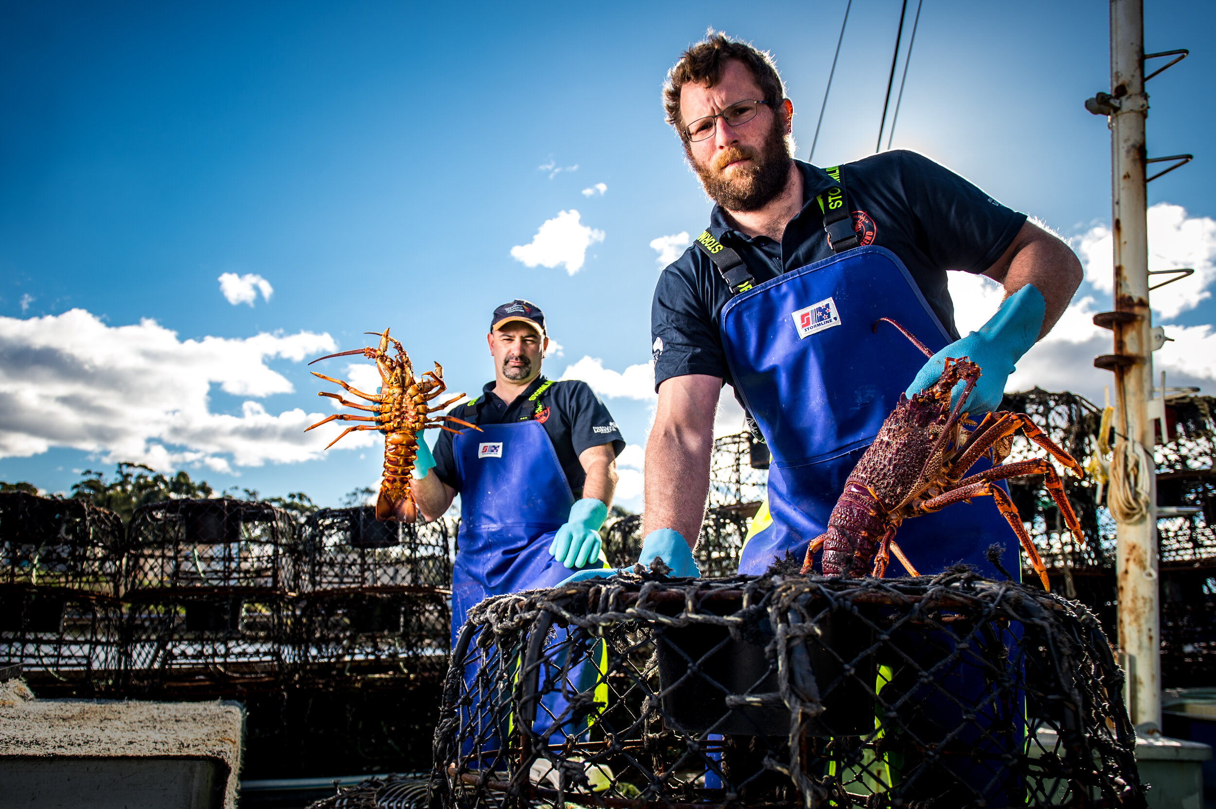 _BOLD CONTENDER_SQUIZZY _ TABOR_HOLDING LOBSTER ON BOAT_20190721_6073.jpg