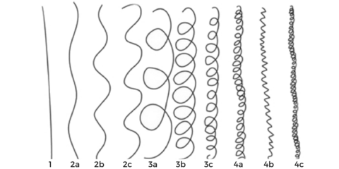 curl pattern chart.png