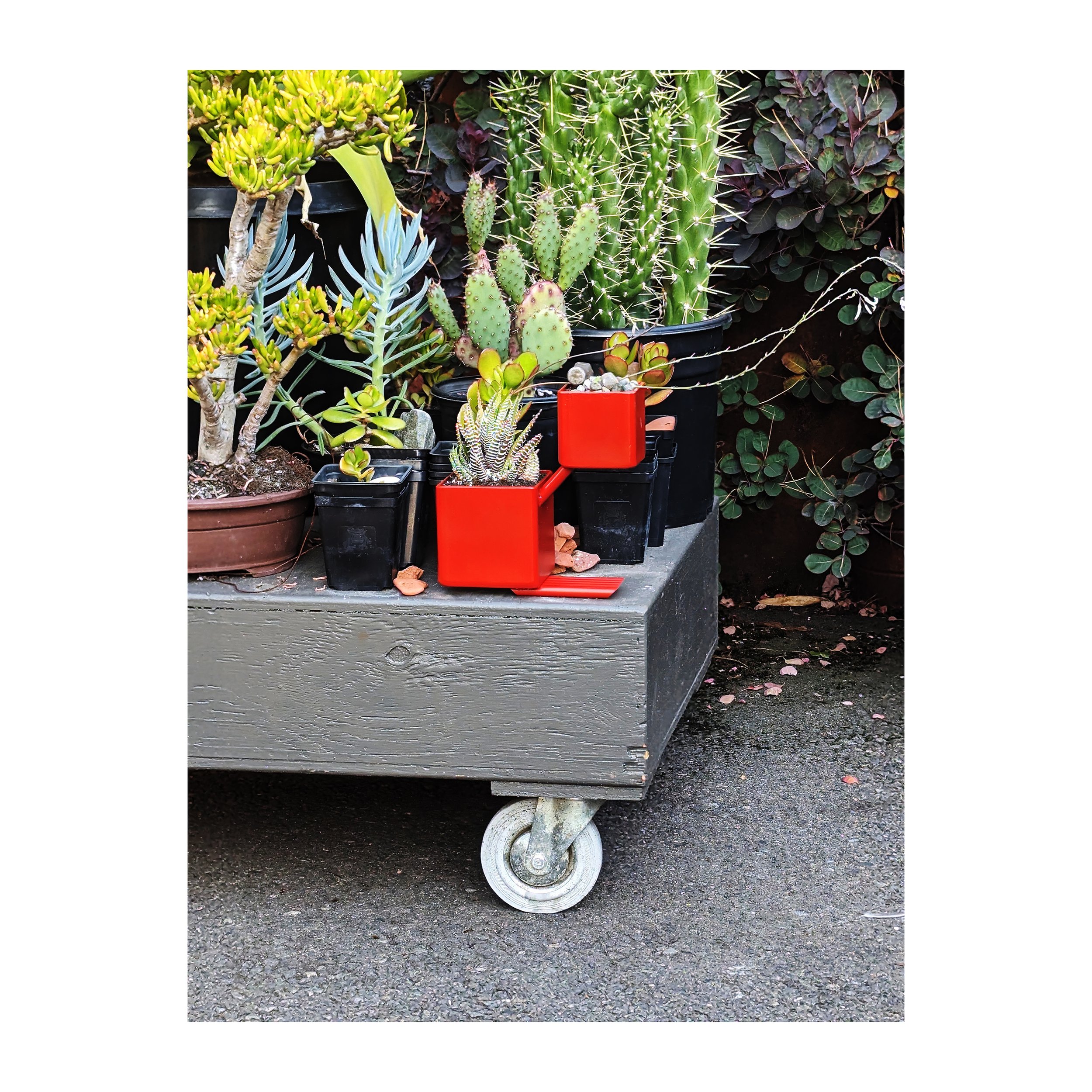 23-0903-2-diatomic-planter-1a-smw.jpg