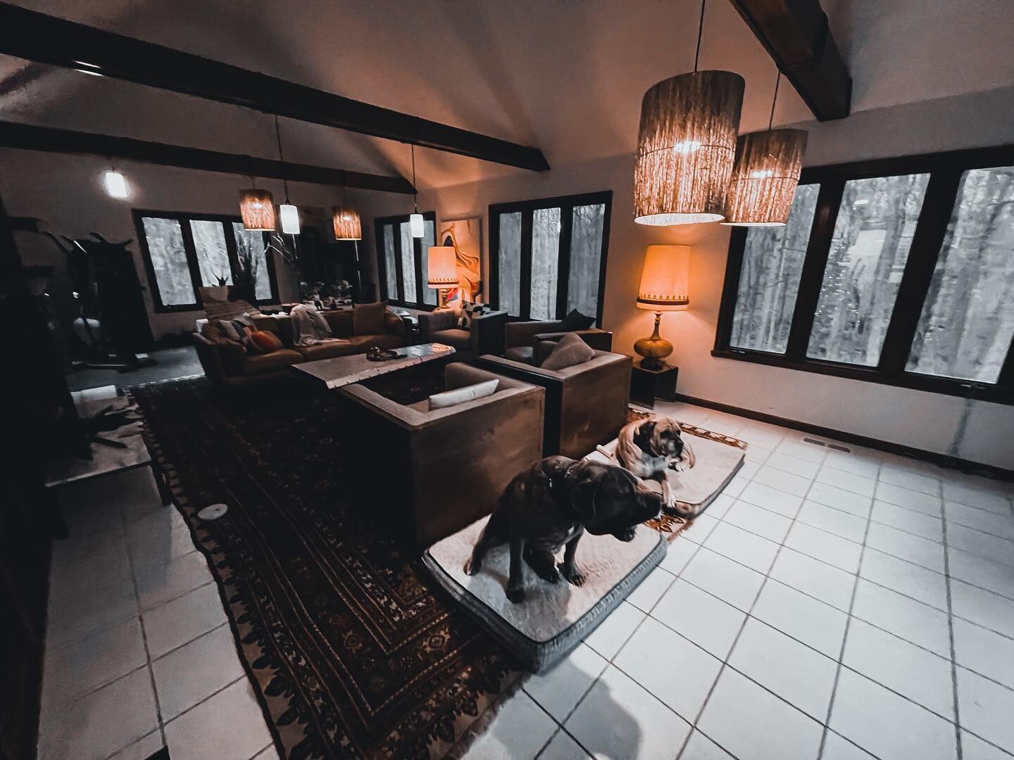 The &ldquo;Dog Pound&rdquo; aka &ldquo;The Sandlot&rdquo;⁣
.⁣
.⁣
.⁣
.⁣
.⁣
#dogs ⁣
#home ⁣
#ootd ⁣
#pets ⁣
#decor ⁣
#design ⁣
#animals ⁣
#carpets ⁣
#cowhide ⁣
#doglove ⁣
#persian ⁣
#dogslife ⁣
#interior ⁣
#homedecor ⁣
#interiors ⁣
#darkgarage ⁣
#rodeo