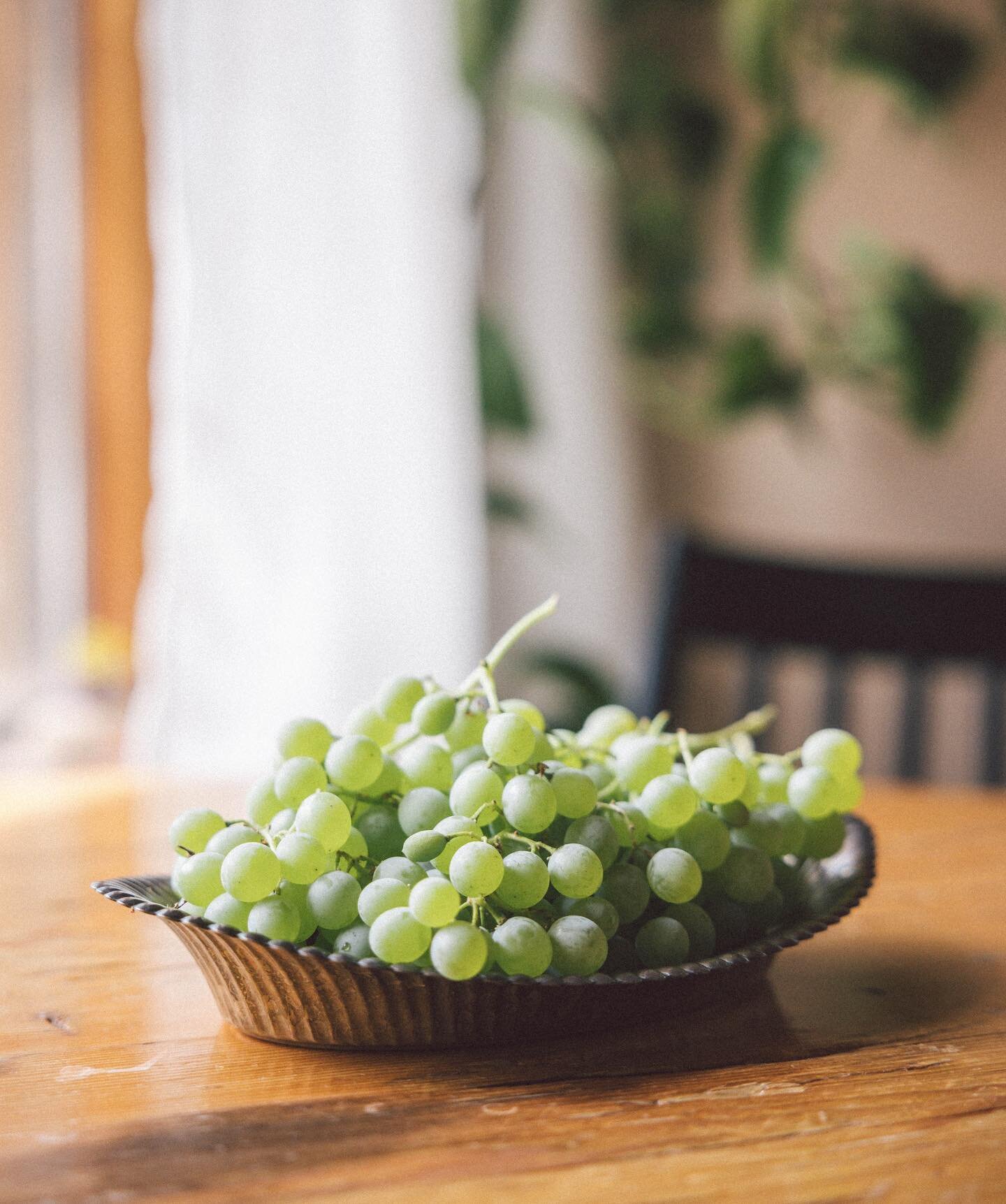 &mdash;summer&rsquo;s sweet months bring us summer&rsquo;s sweetest fruits&hellip; and our lucky summer guests get to enjoy the abundance 🍇🙌🏼

hint&mdash; stay with us in mid July to experience a greenhouse full of juicy grapes falling from the vi