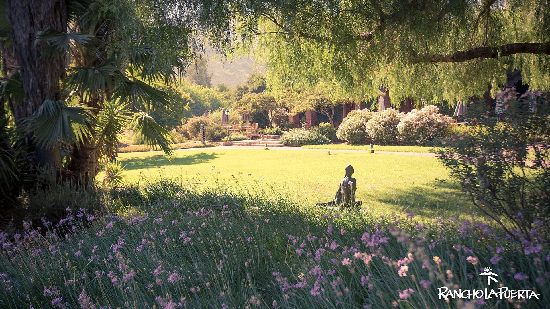 Jardín con césped, árboles y arbustos con flores rosadas y moradas, en un día soleado.