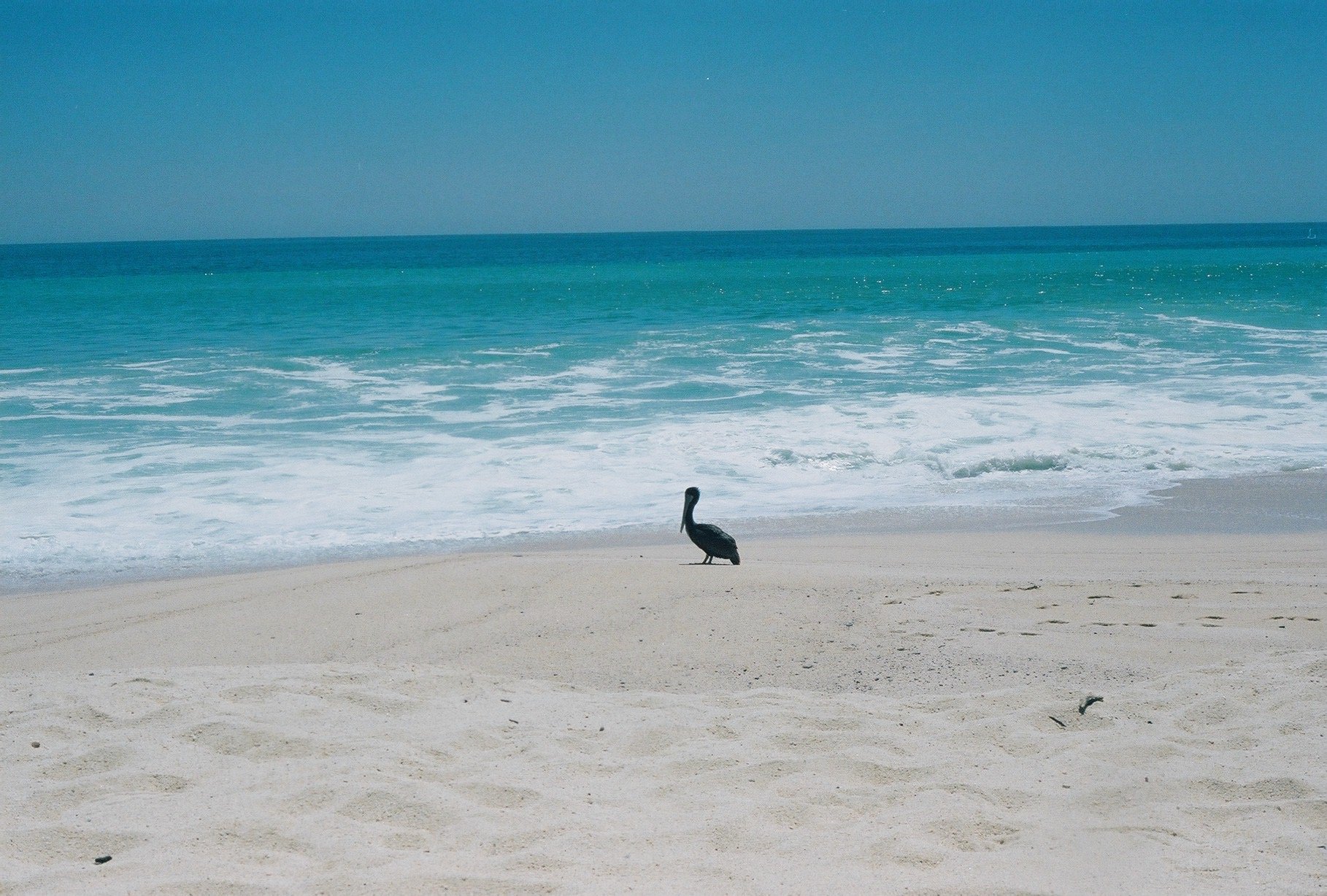 Cabo - 486 of 538.jpeg