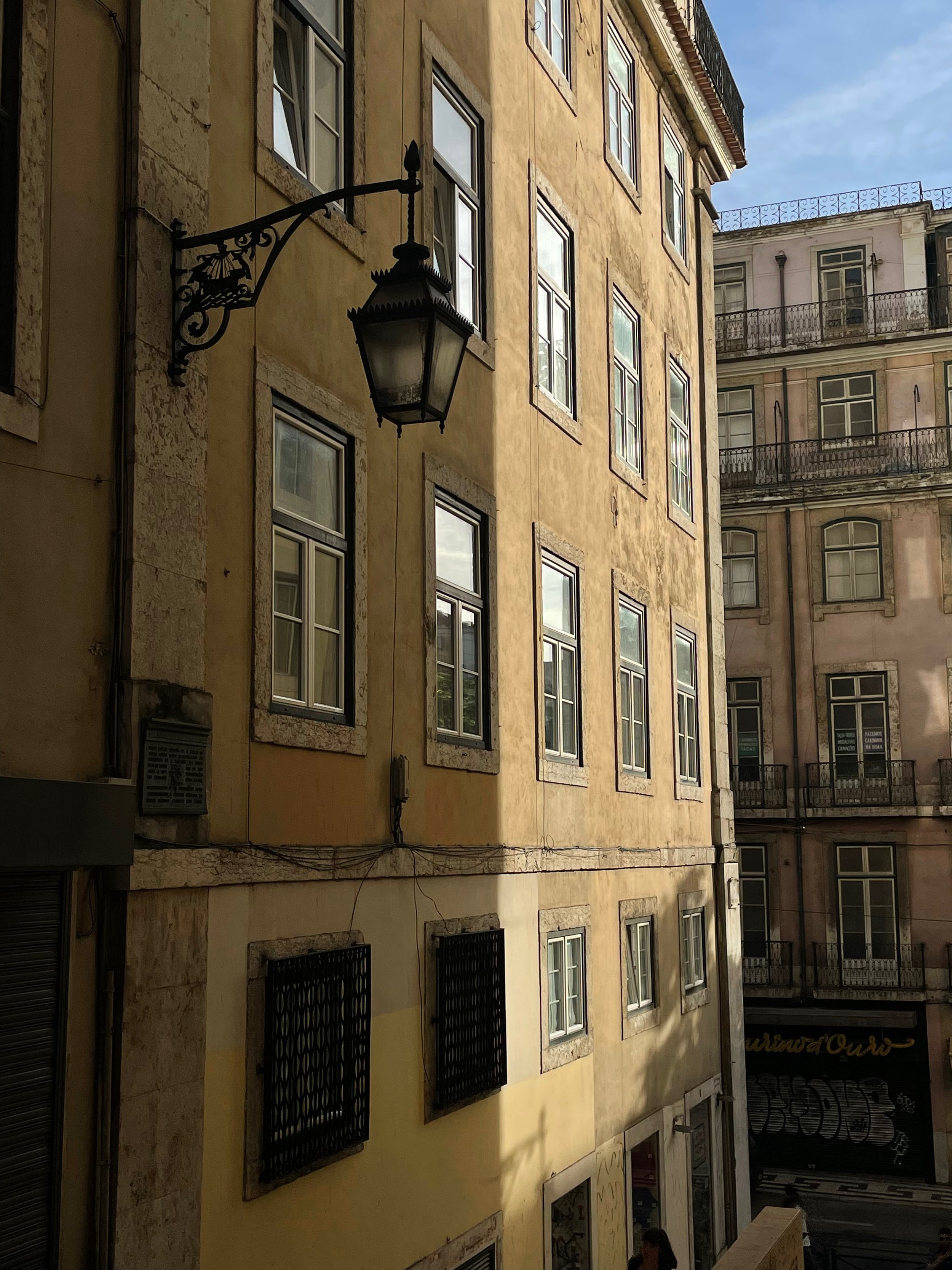 IMG_5913.jpeg