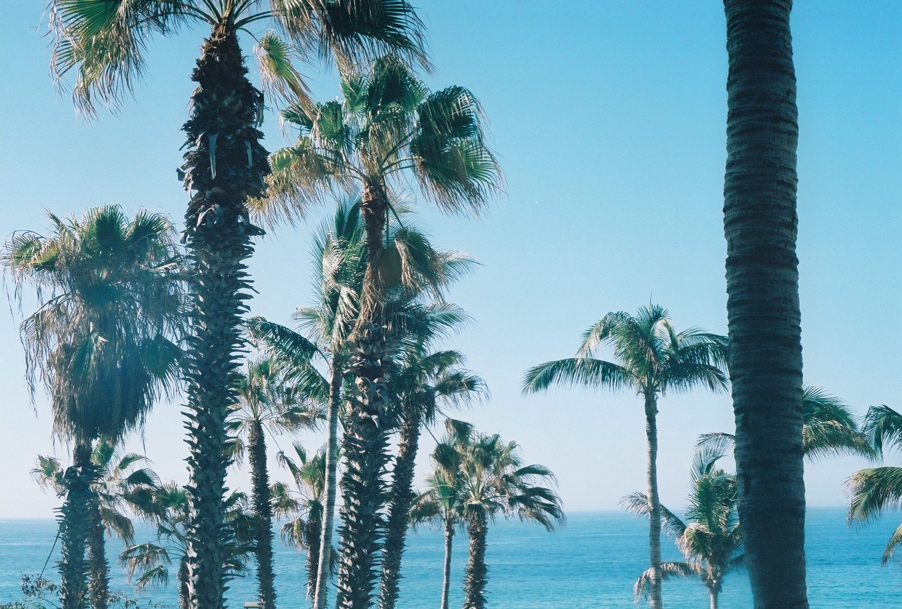 Cabo - 472 of 538.jpeg