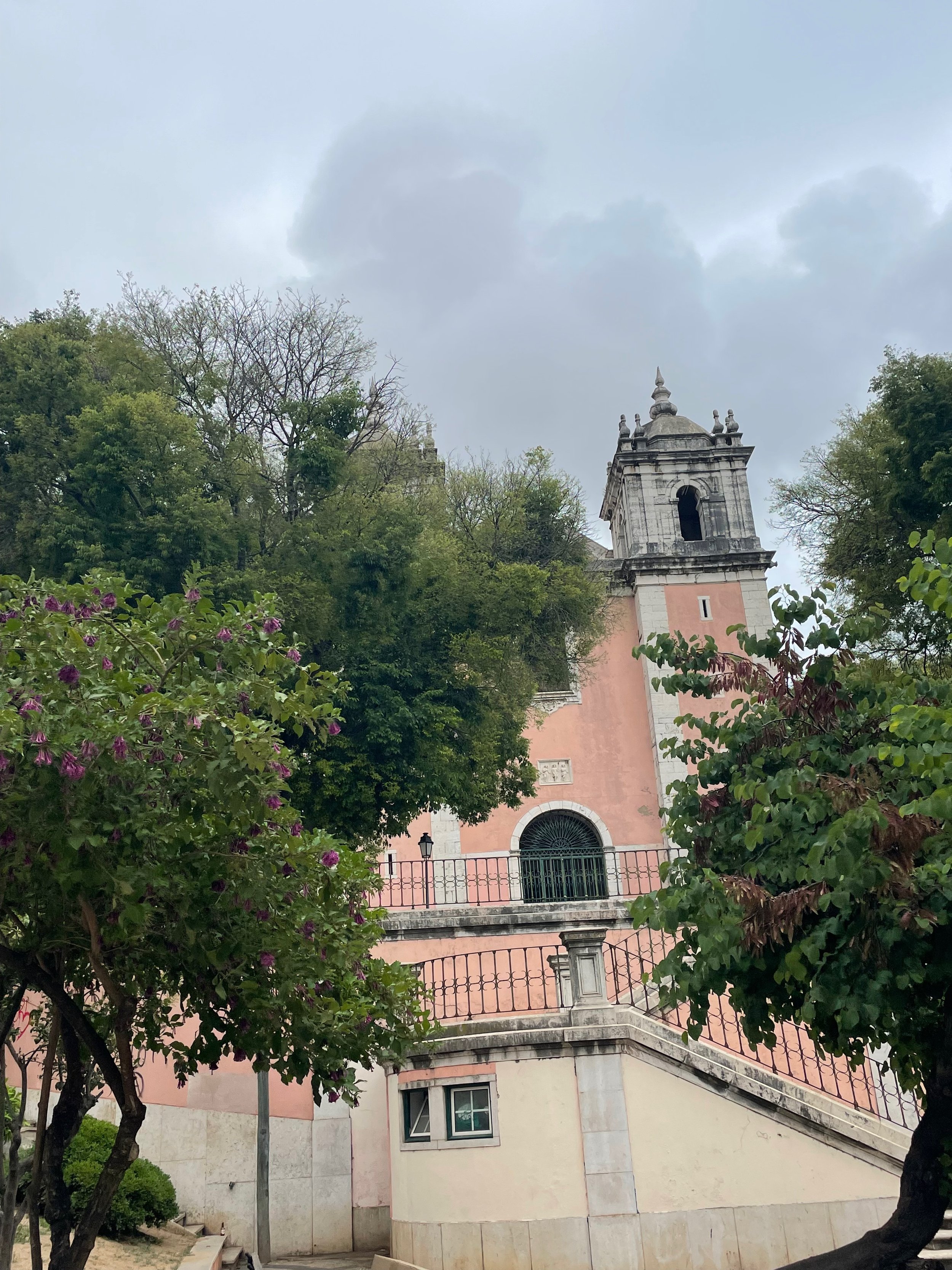 IMG_5501.jpeg