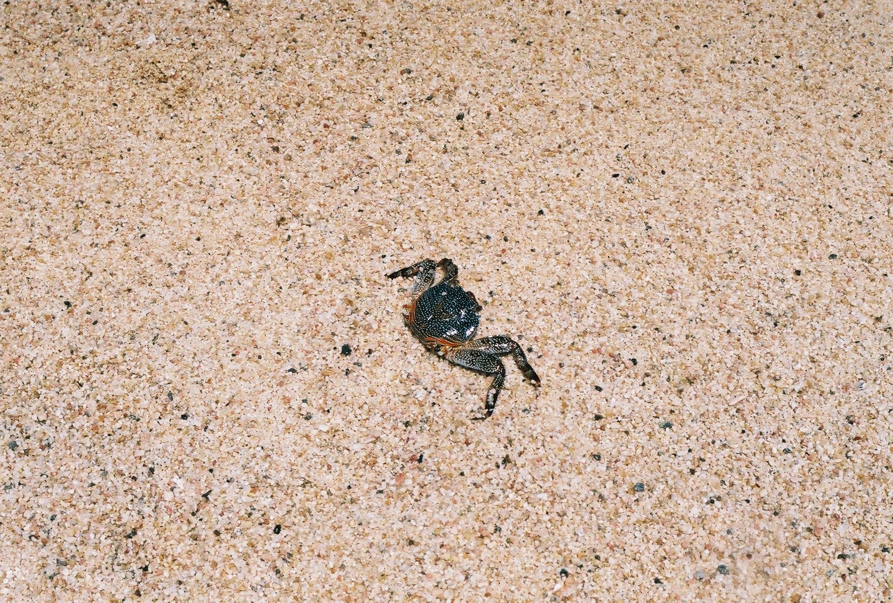 Cabo - 499 of 538.jpeg