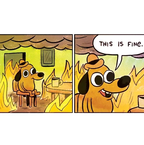 this-is-fine.webp