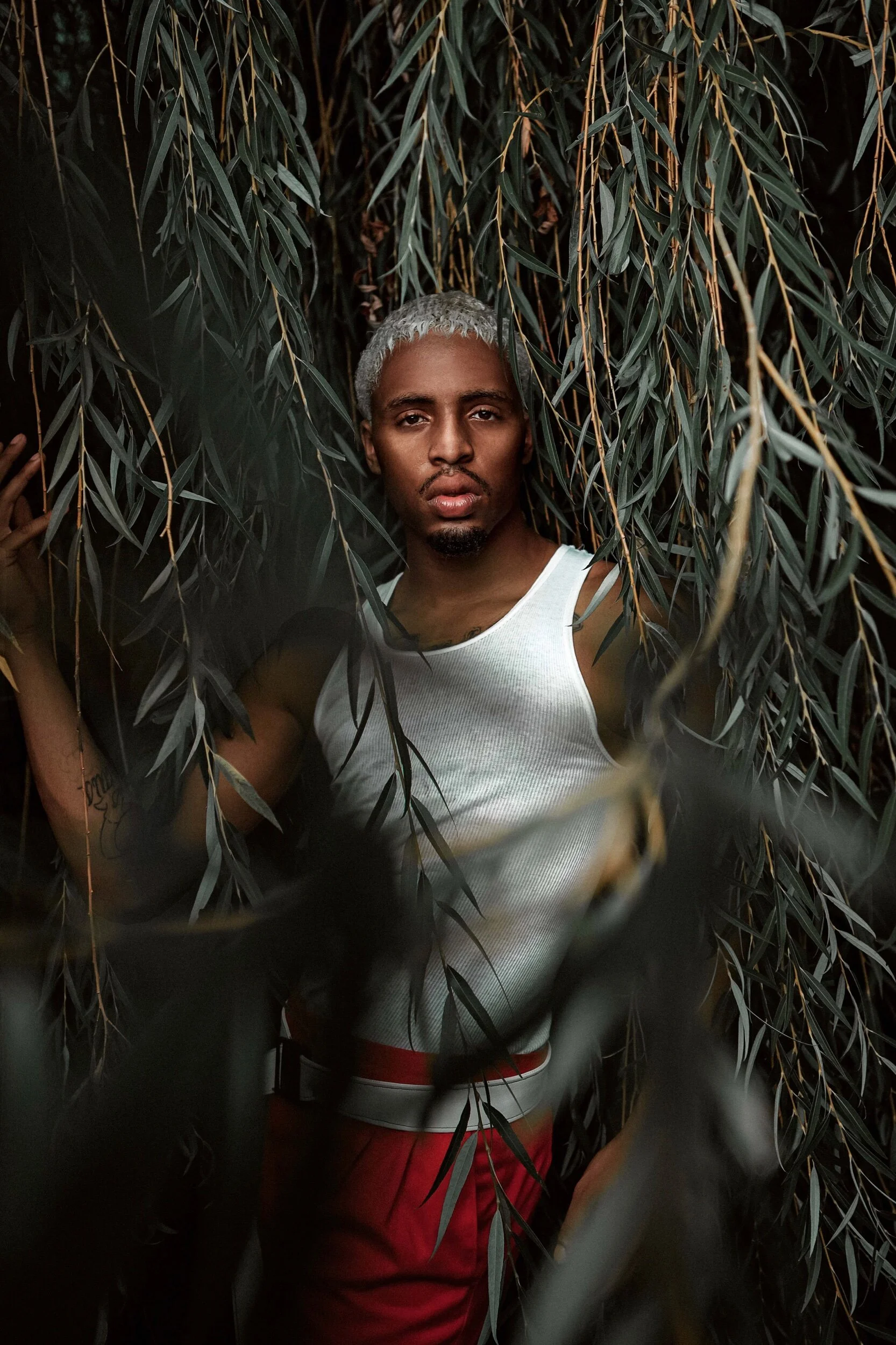 Image 8-11-20 at 5.24 PM.jpeg