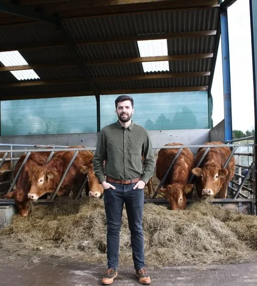 Man standing infront of herd of 5 cows who are in a shed eating hay