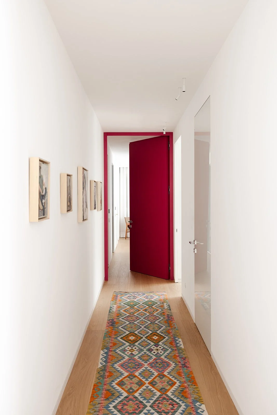 GUY_ALEX MEITLIS-21.jpg