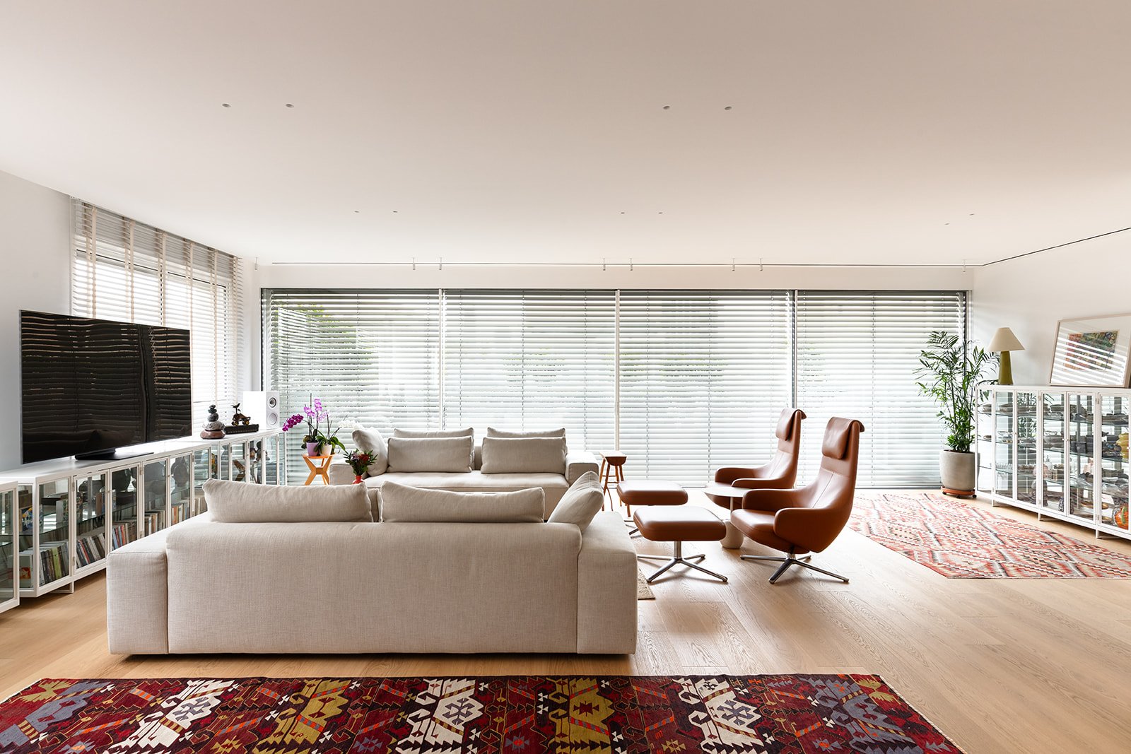 GUY_ALEX MEITLIS-24.jpg