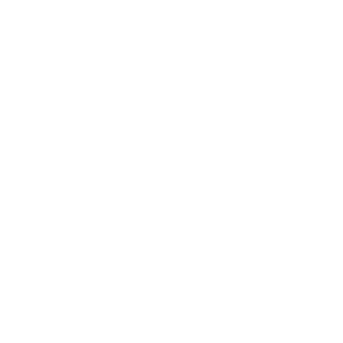 A blank white circle on a white background.