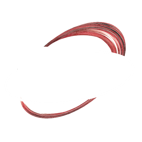 New York International Auto Show Logo