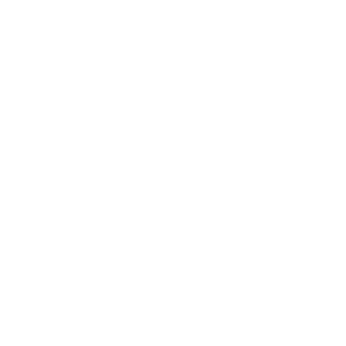 Polestar logo in white text on a black background