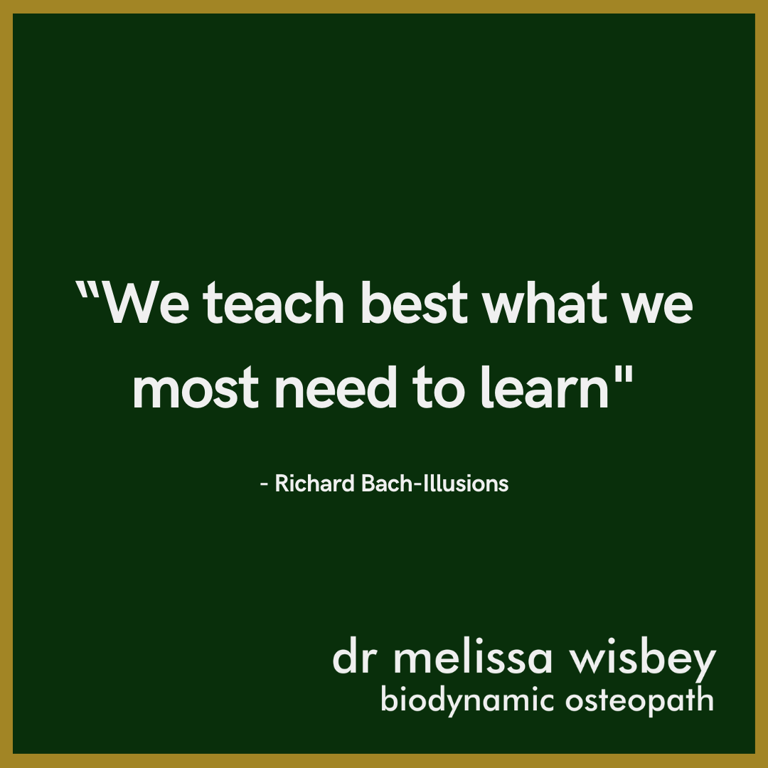 “We teach best what we most need to learn” - Richard Bach-Illusions