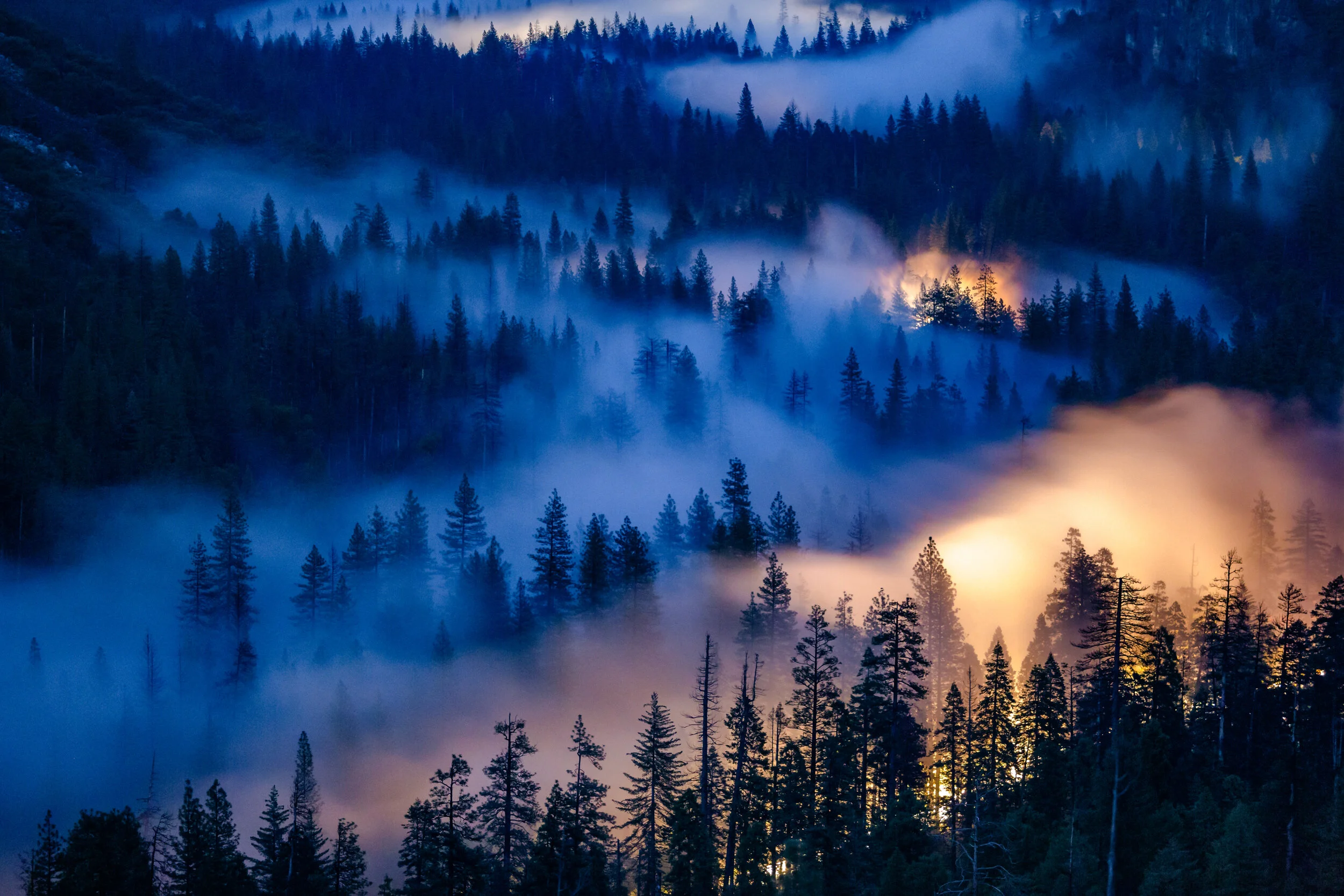 yosemite forrest foggy night.jpg