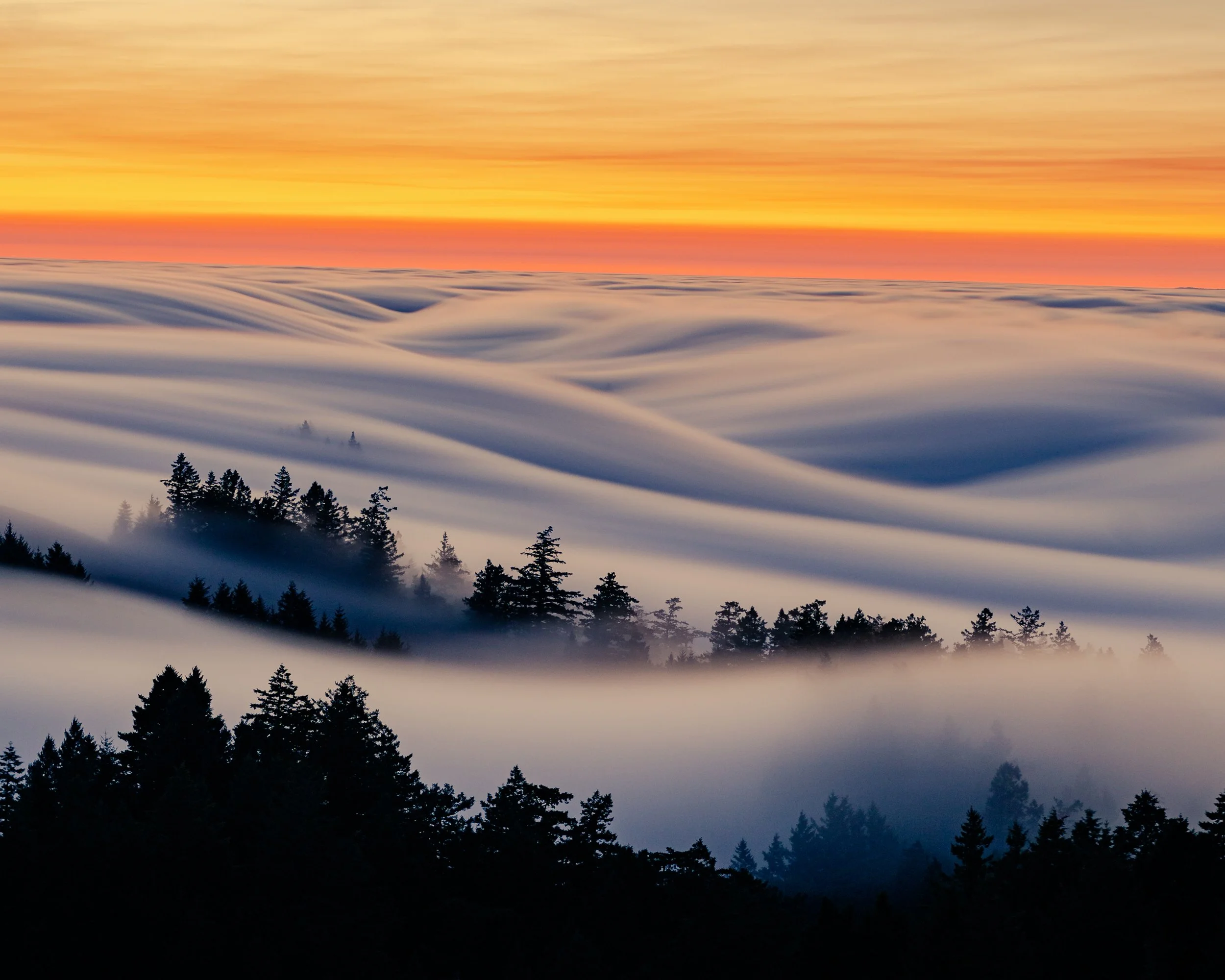 Mount Tam Flows 85mm post sunset.jpg