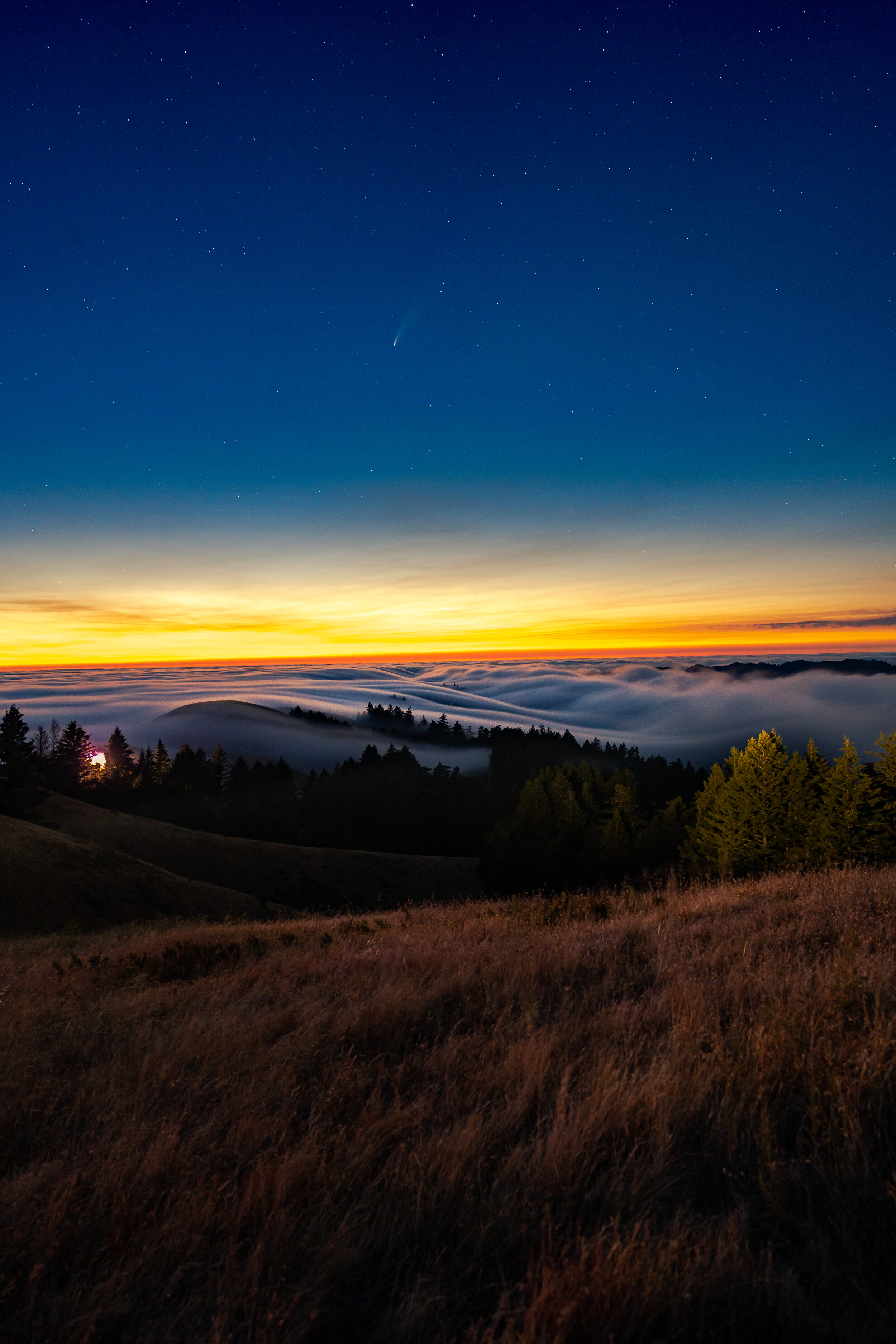 neowise astro mount tamalpais.jpg