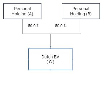 Reasons for up a holding structure in the Netherlands — Cardon Company
