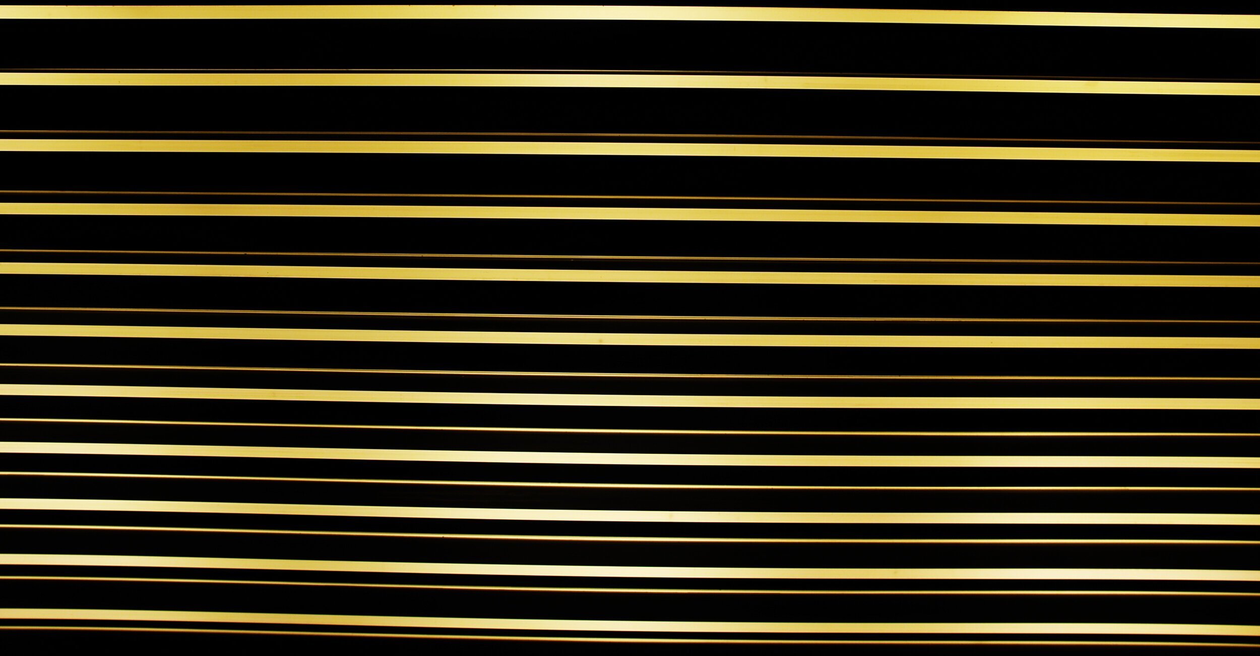 _1019751.jpg
