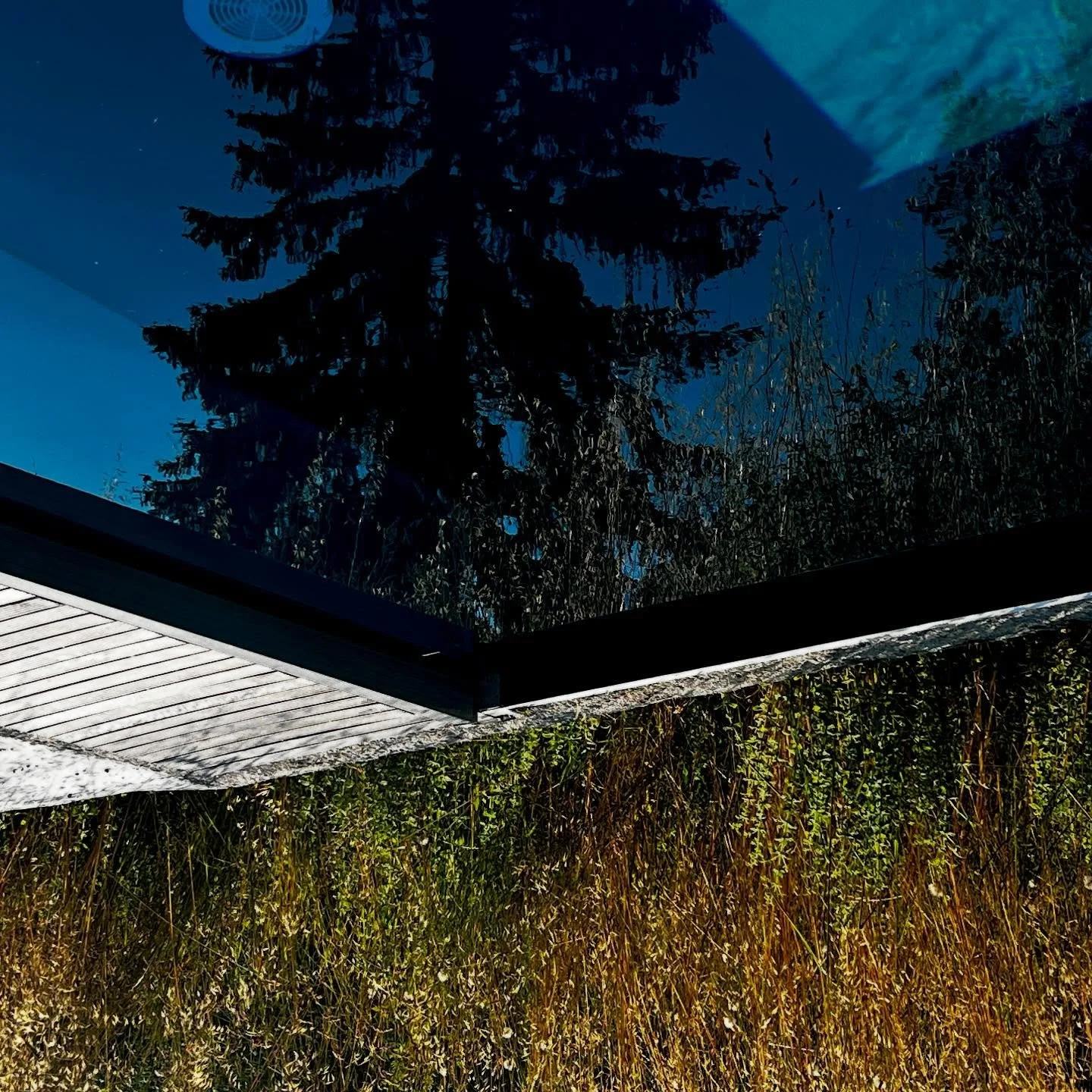 In the Upsidedown .
.
.
.
#reflections abstractphotos
#abstractartphotography
#abstractartphoto
#abstractphotographer
#abstractphotoart
#abstractart
#art
#contemporaryart
#abstract
#artwork
#modernart
#artistsoninstagram