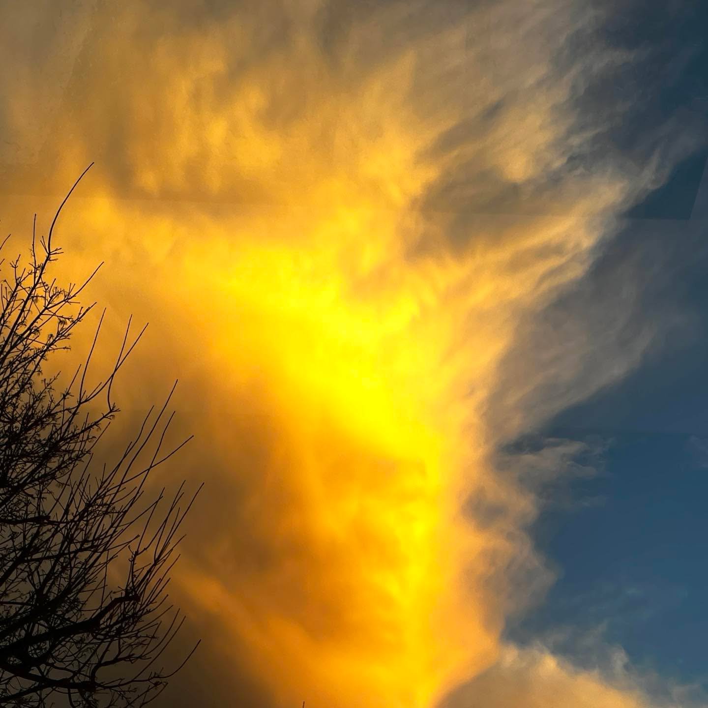 Tree in the Glowming.  abstractart
#art
#contemporaryart
#abstract
#artwork
#modernart
#artistsoninstagram