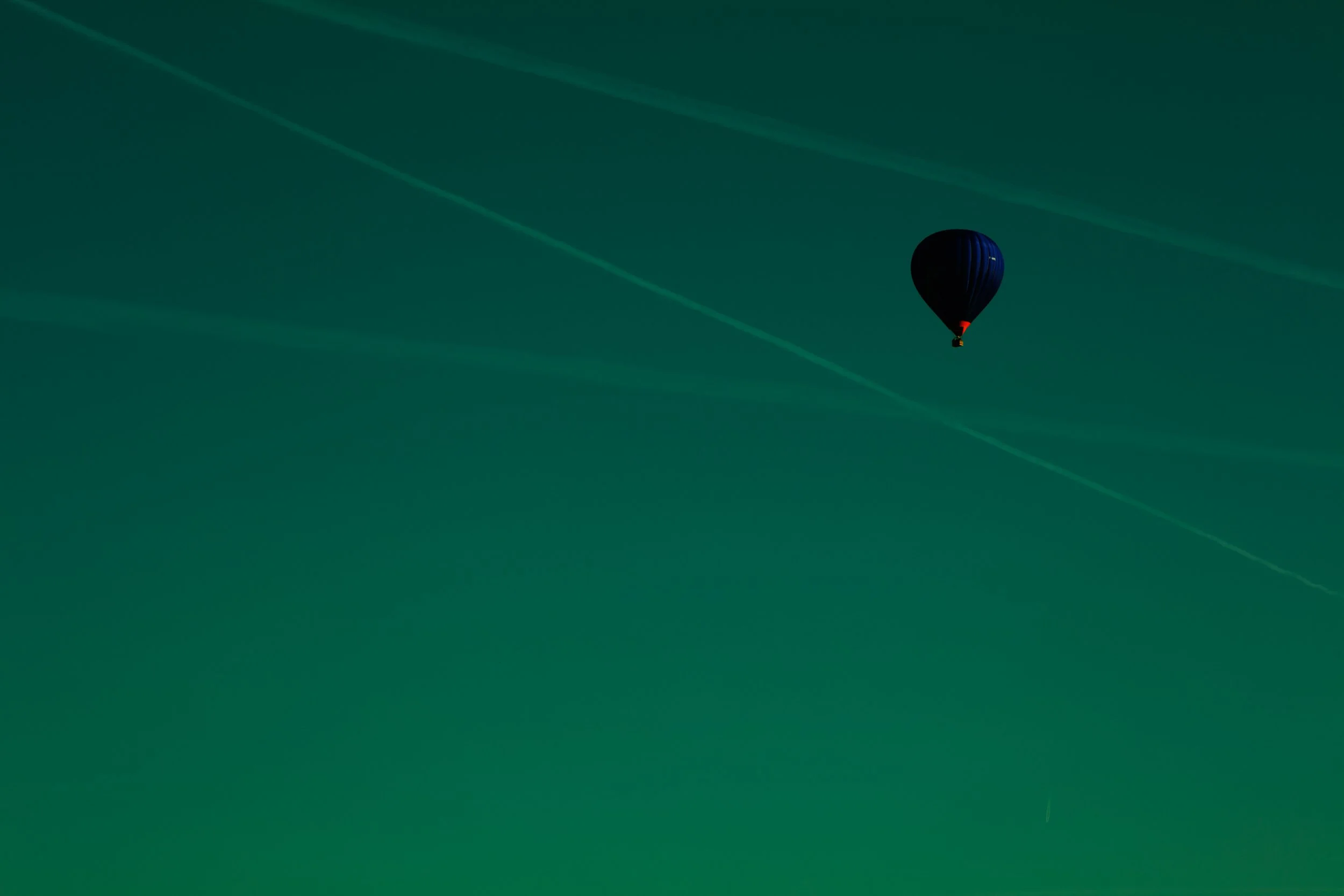 1C9A0215.jpg