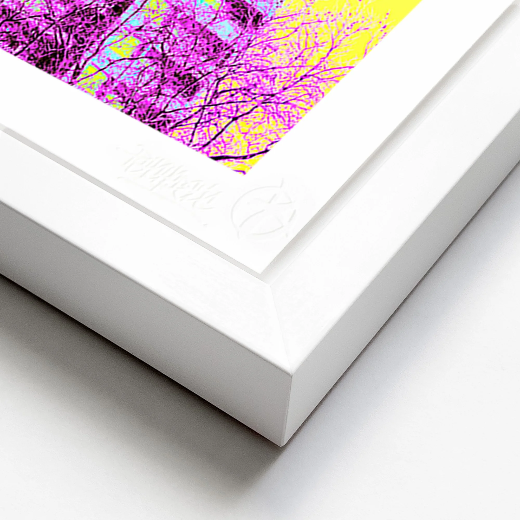 White Frame Corner Angle Psychedelic Trellick.jpg