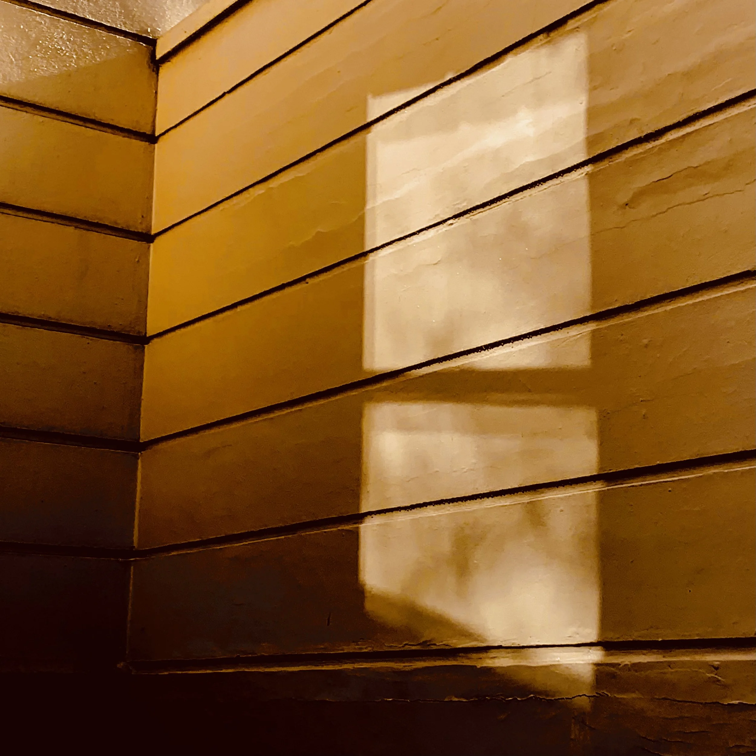 Reflected Summer Window Original.jpeg