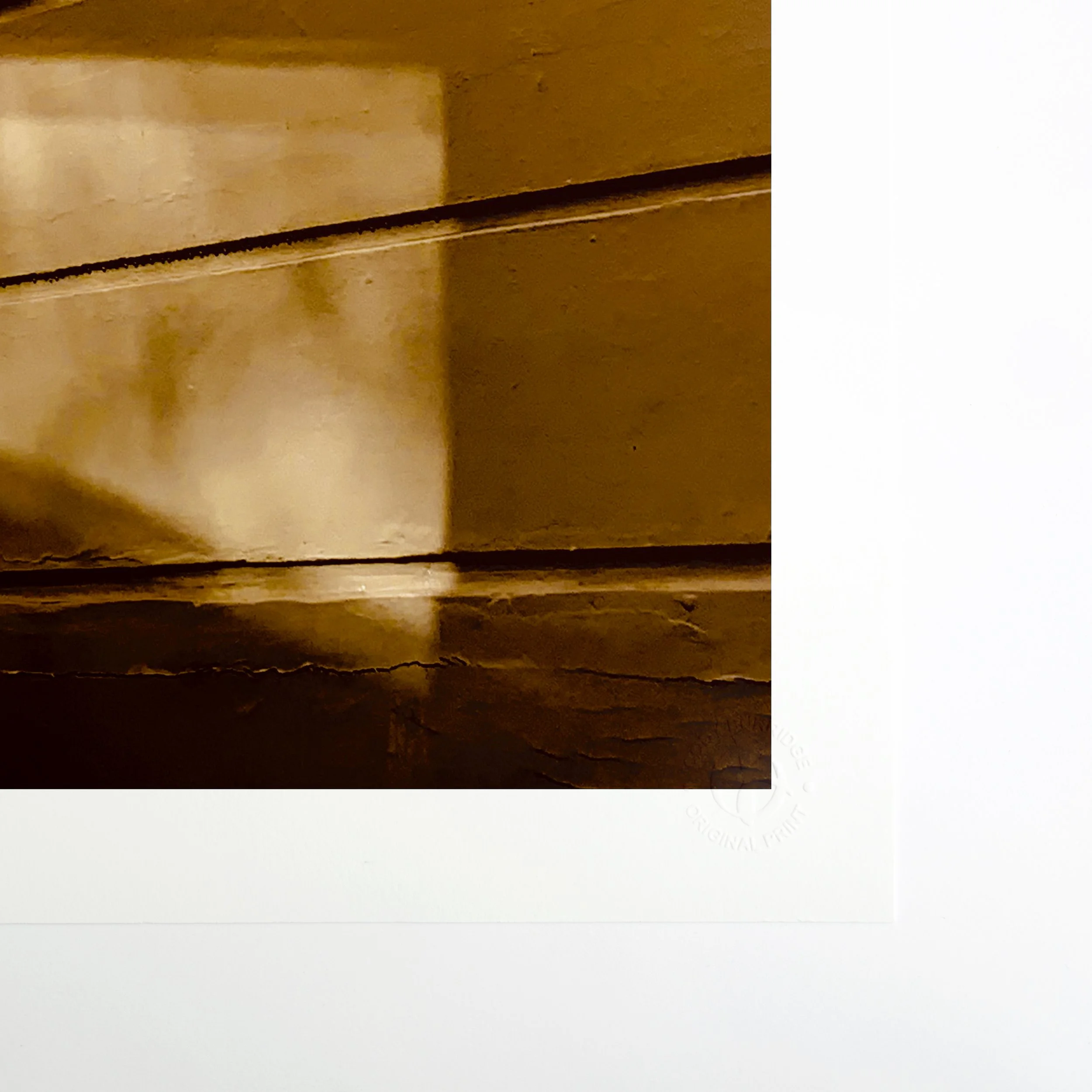 Reflected Summer Windows CB Embossed Paper Full.jpg