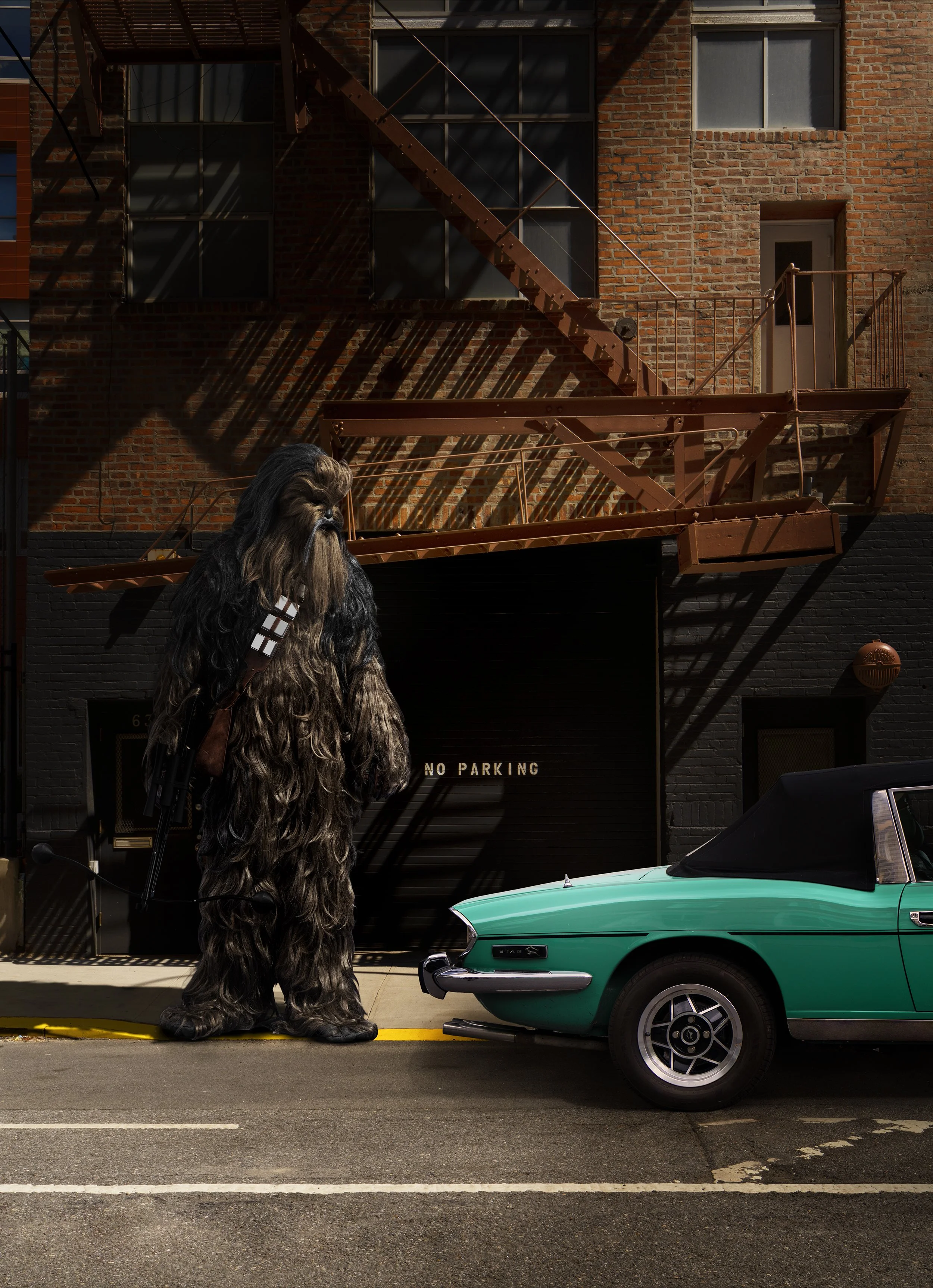No Parking FIN FLAT.jpg