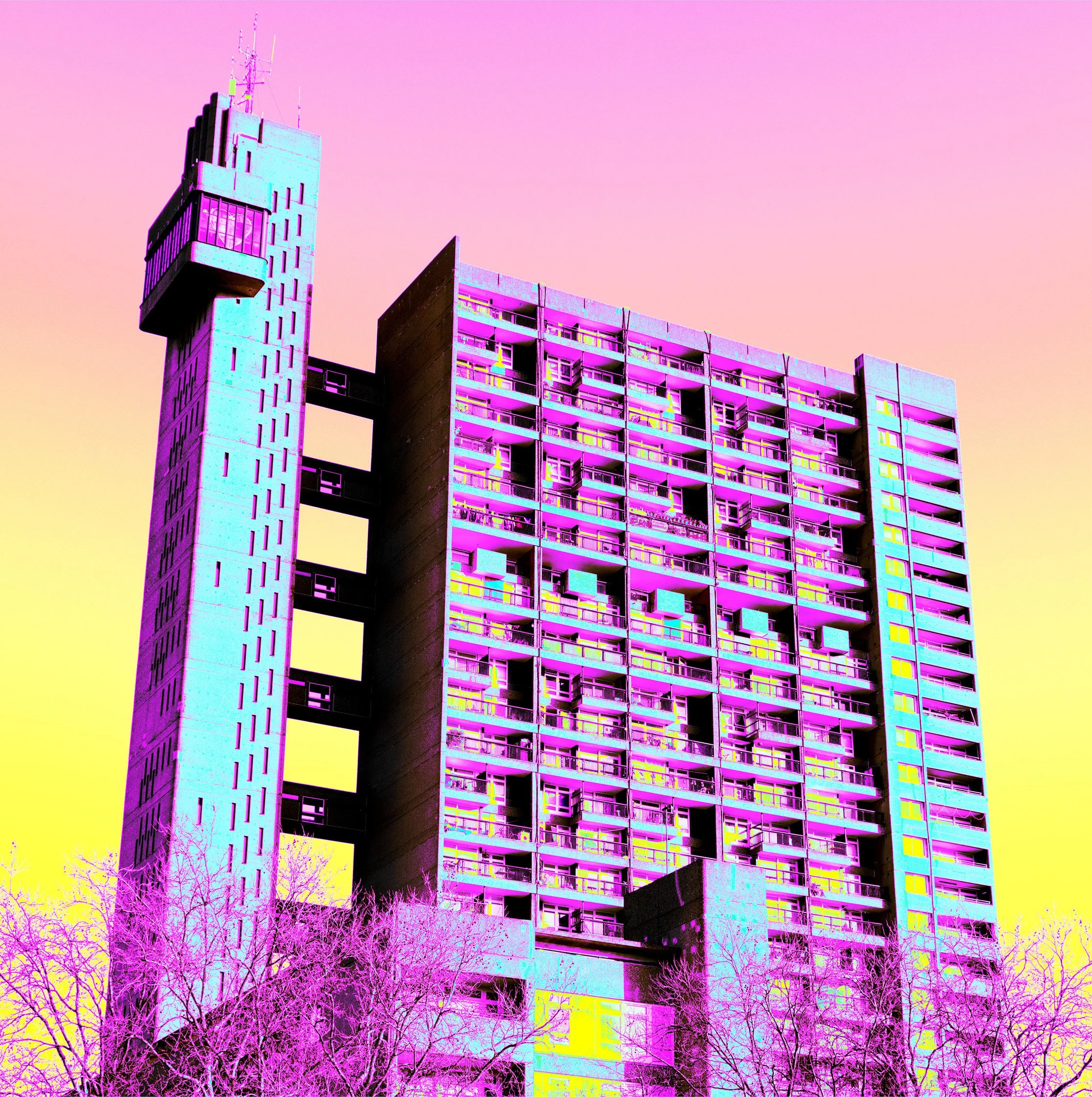 Psychedelic_Trellick_Pink.jpg