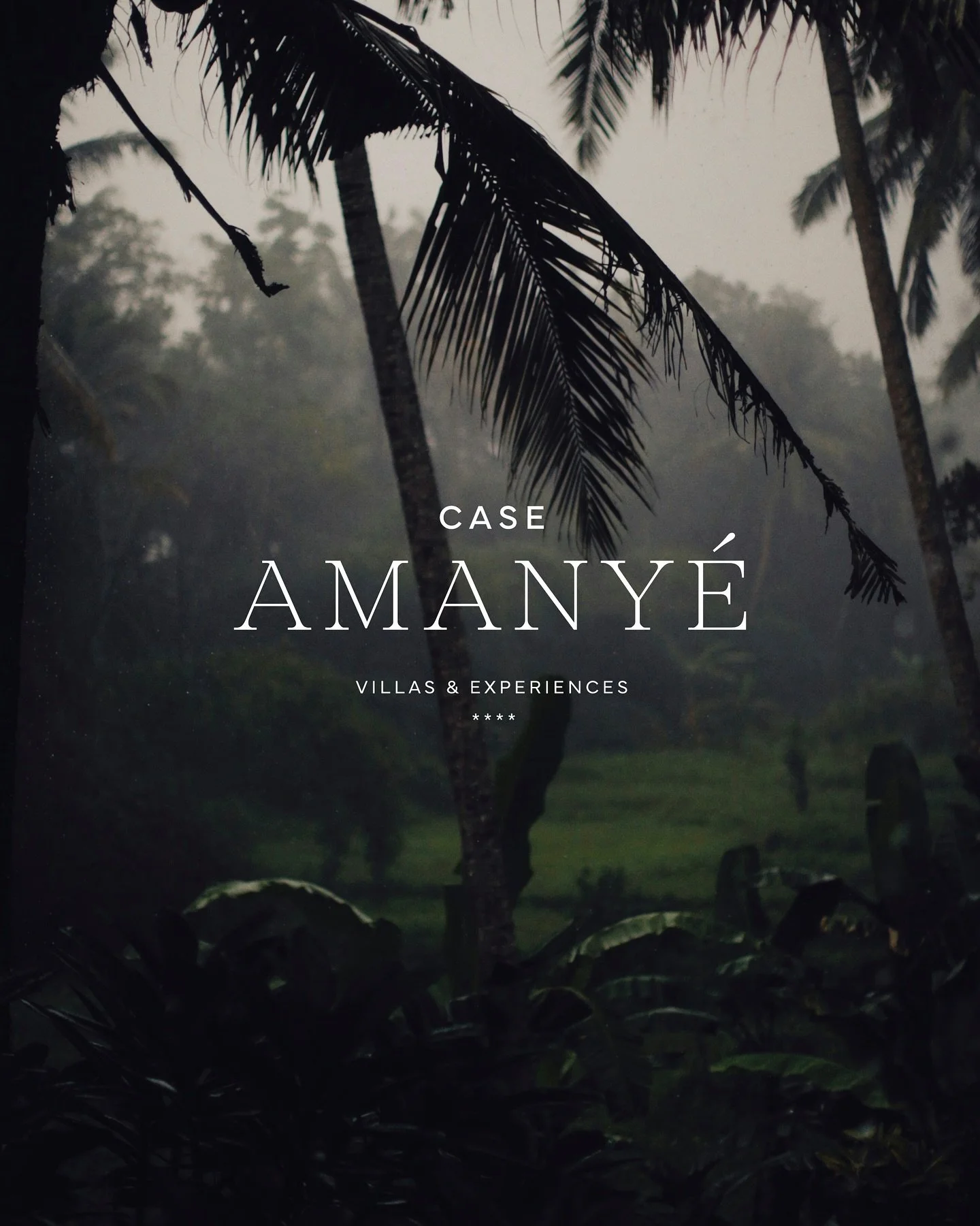 Branding et site internet pour Case Amany&eacute;, un concept h&ocirc;telier 4 &eacute;toiles, m&ecirc;lant d&eacute;couverte et respect de la nature dans un endroit apaisant en Martinique.   Case Amany&eacute;, ce sont des Villas &eacute;co-con&cced