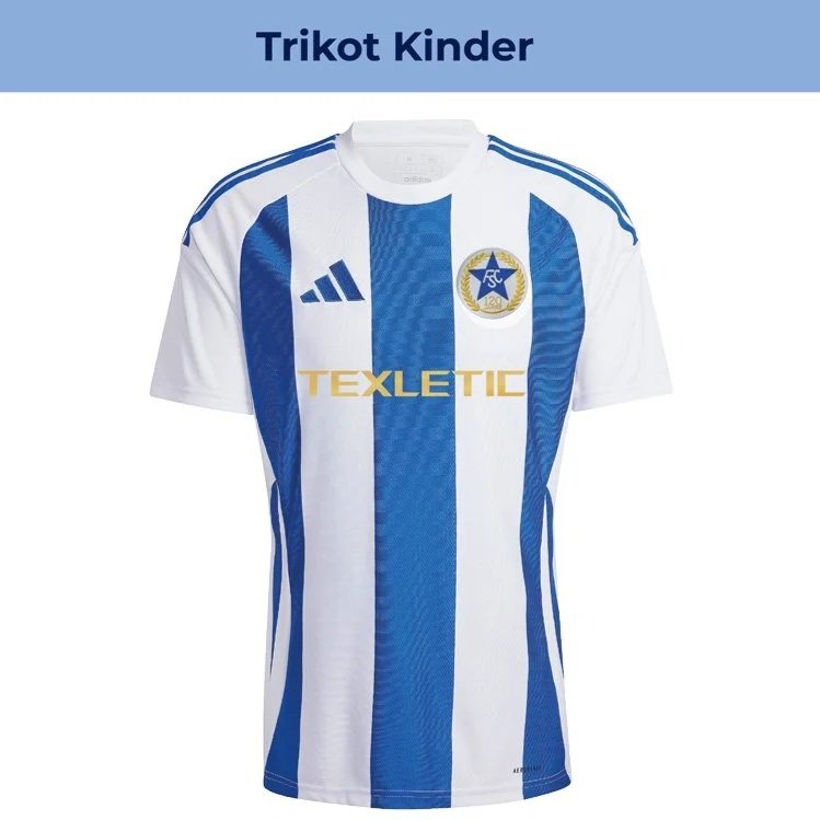 FC-Suedstern-Jubilaeums-Trikot-Kinder.jpg