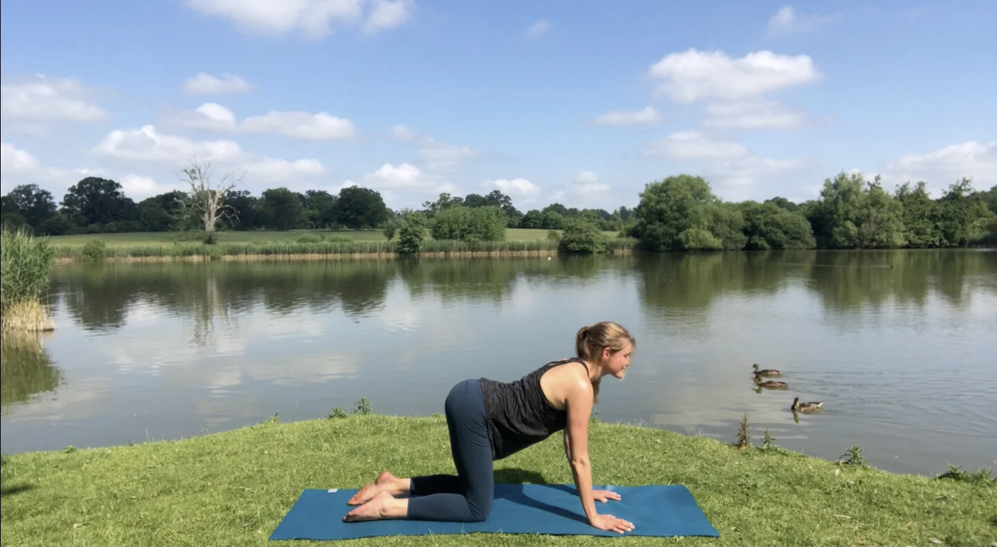Yoga cat/cow