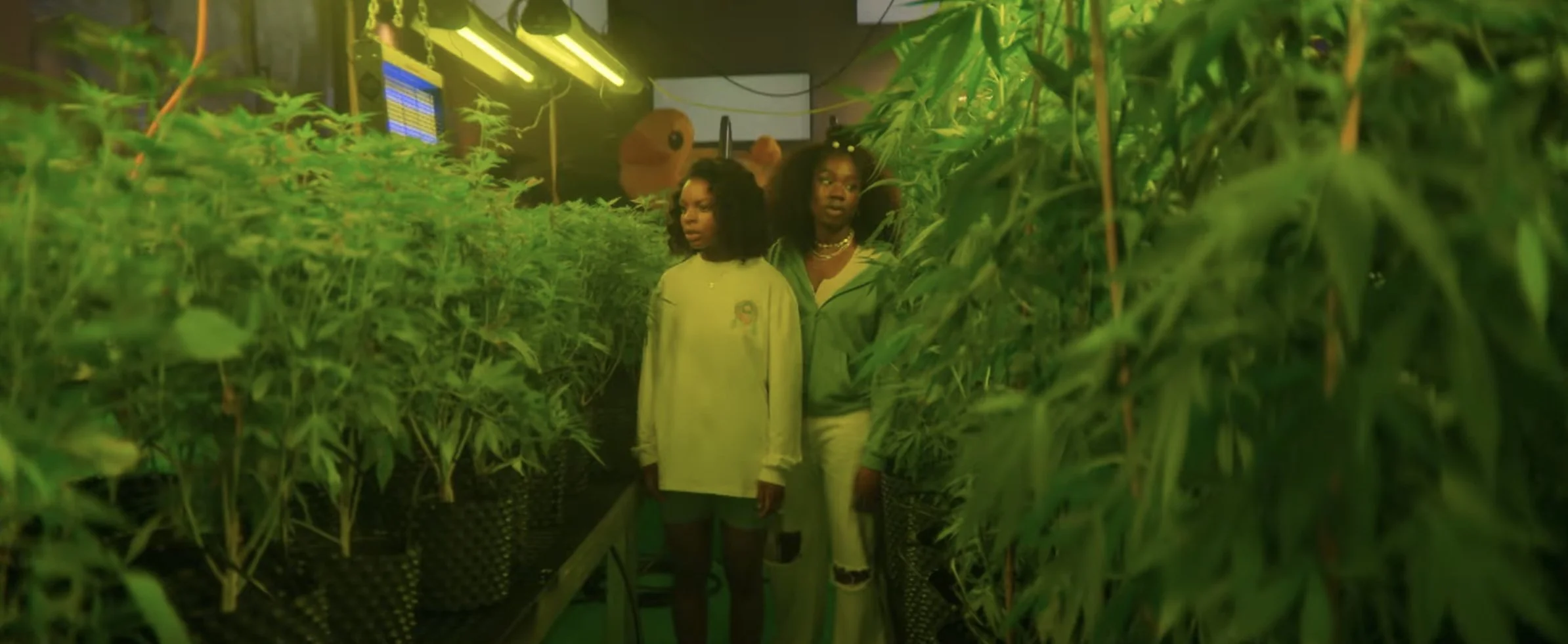 Then You Run | First Look Trailer | Sky