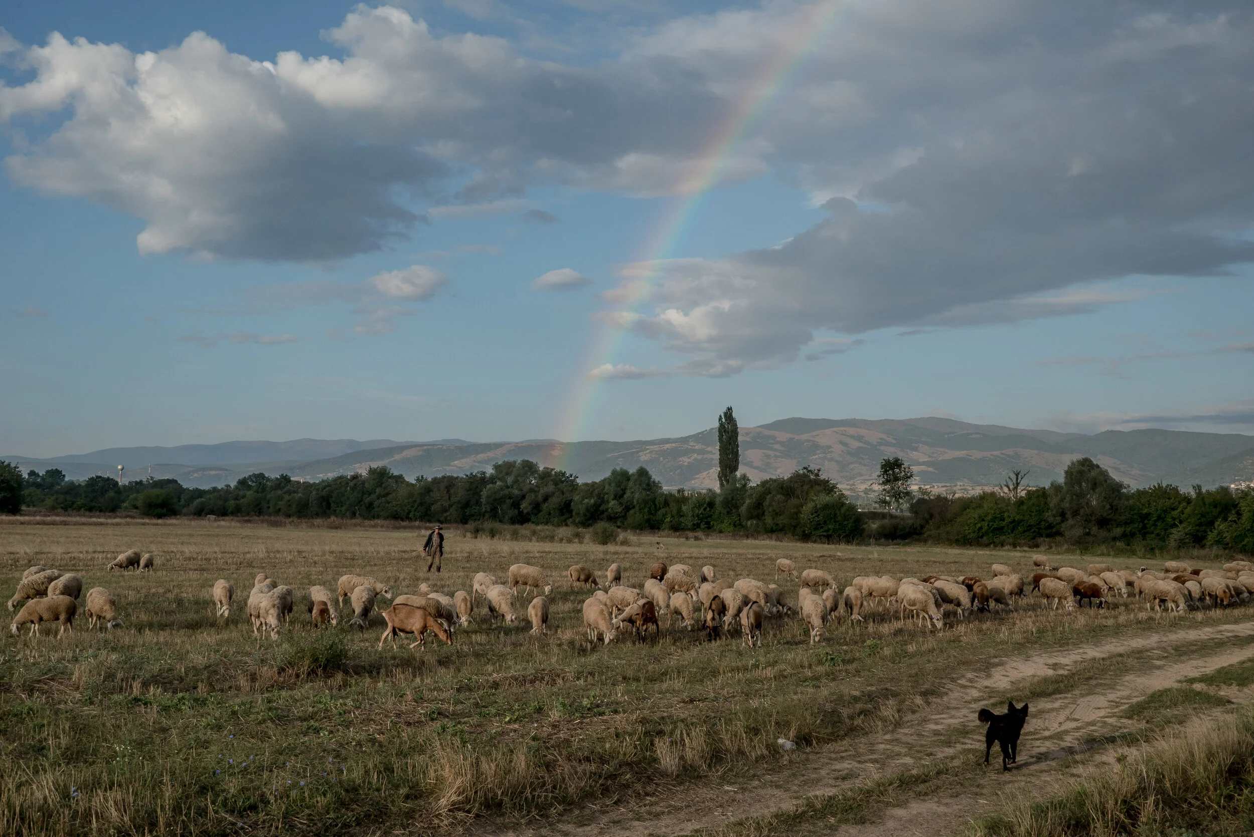 Decade of Ind.017.JPG