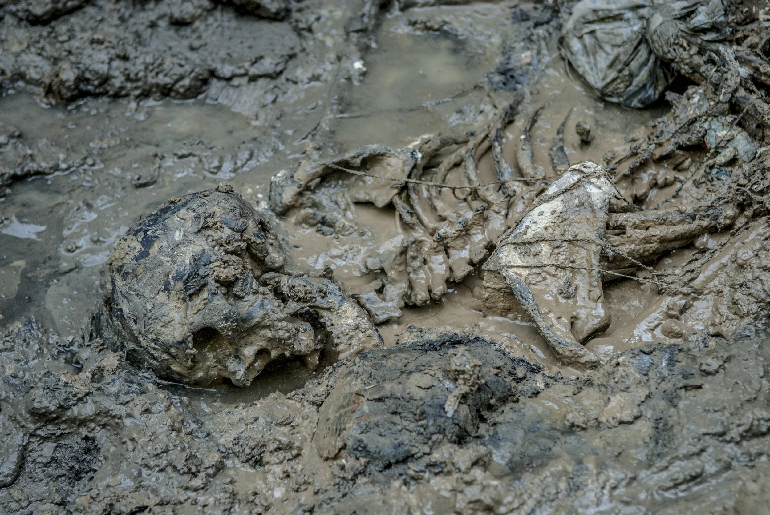  A mass grave near Sekovici containing the bodies of Bosniak men thought to have been killed in the massacres in and around Srebrenica in 1995. Most of the bodies had their hands tied behind their backs with wire. This mass grave was exhumed in 2006.