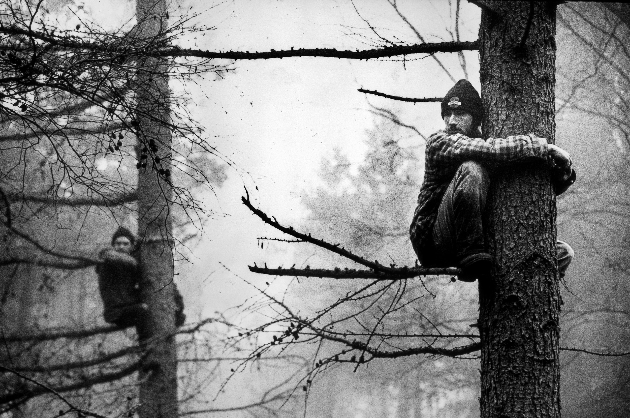 Early morning on the route of the Bypass. Protesters occupy trees after identifying which area the Police, Bailliffs and Tree Surgeons were targeting that day.