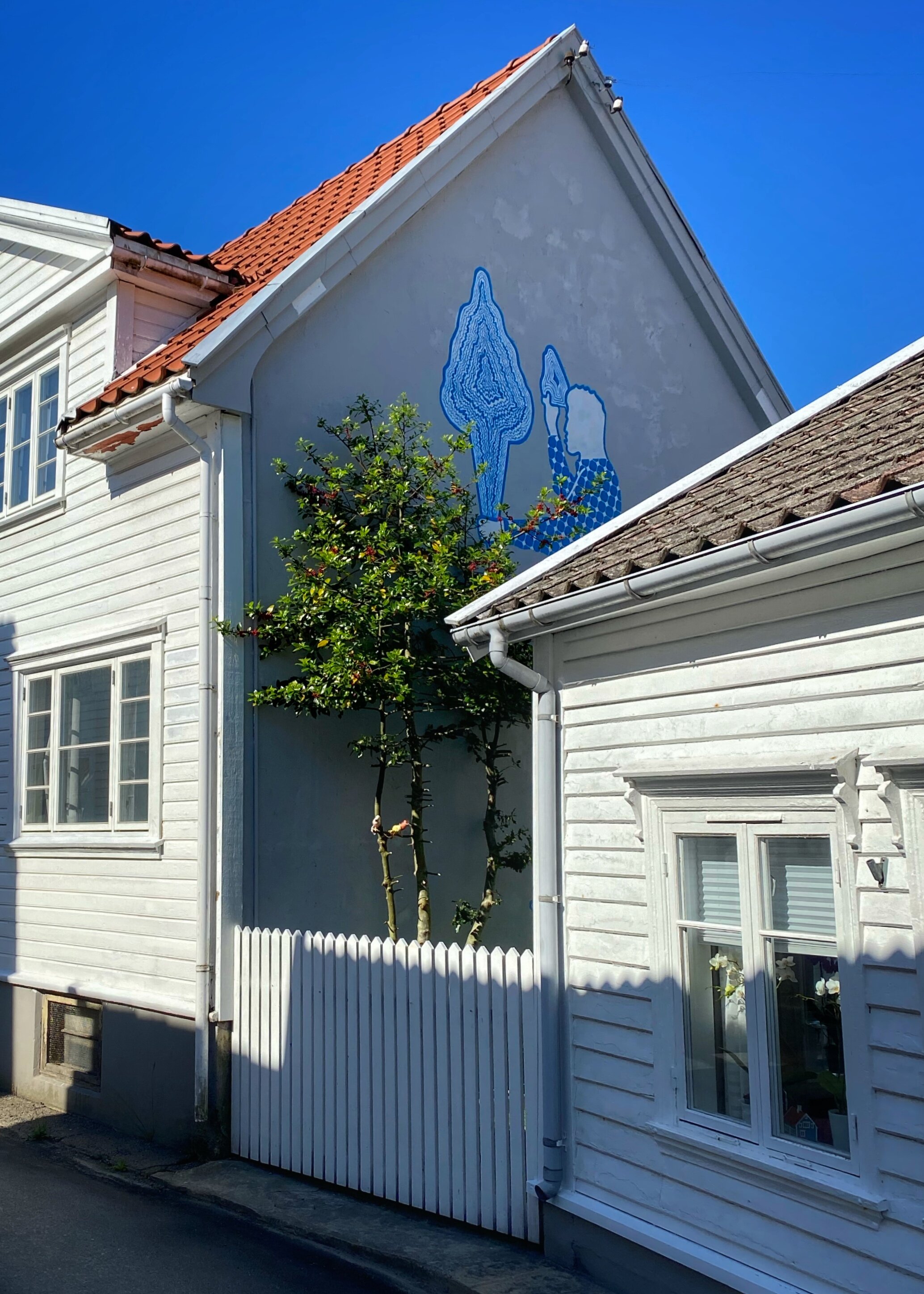 Foto: Vebjørn H. Moi