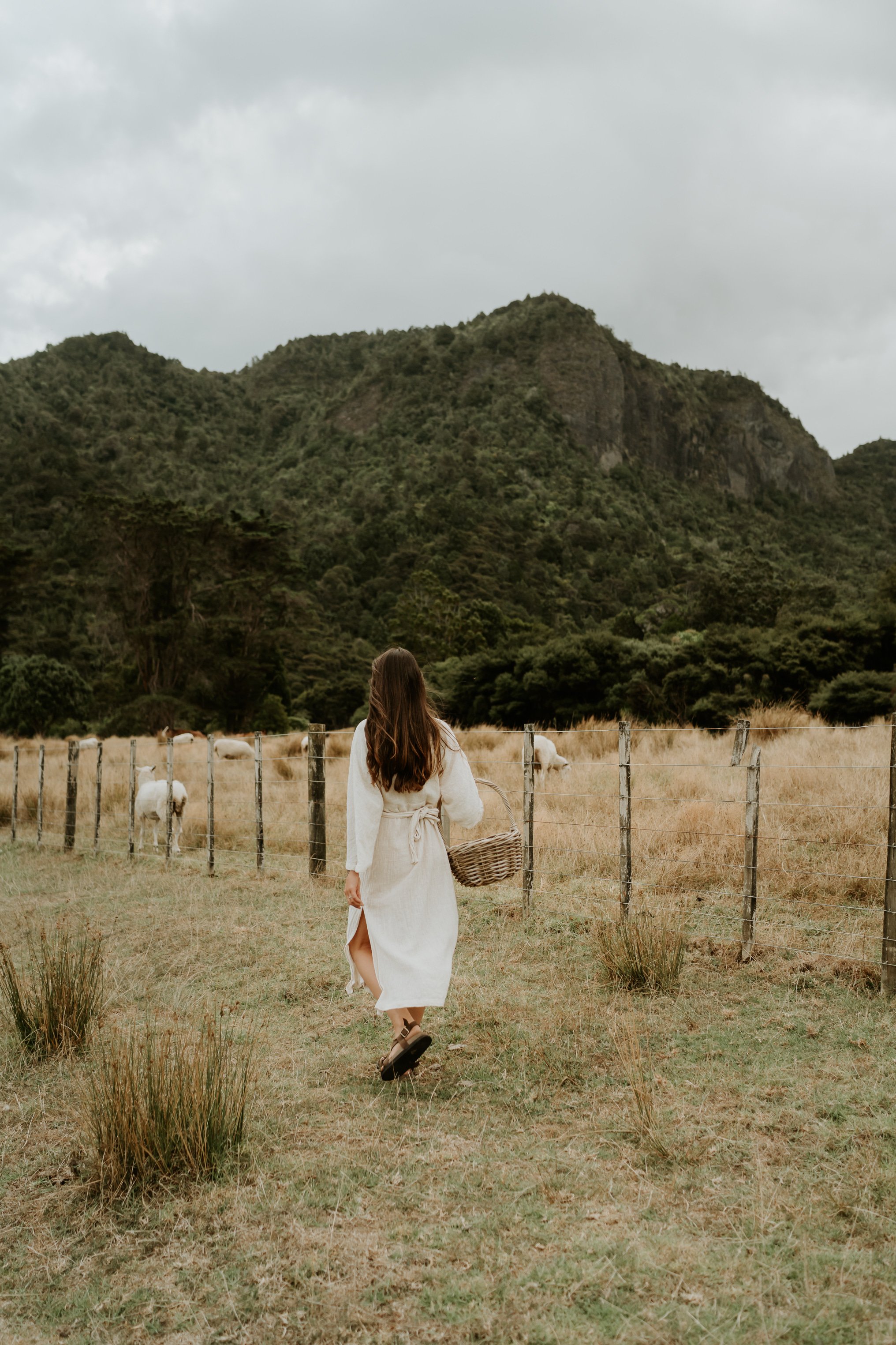 Return To The Wild: Autumn Foraging & Medicine Making