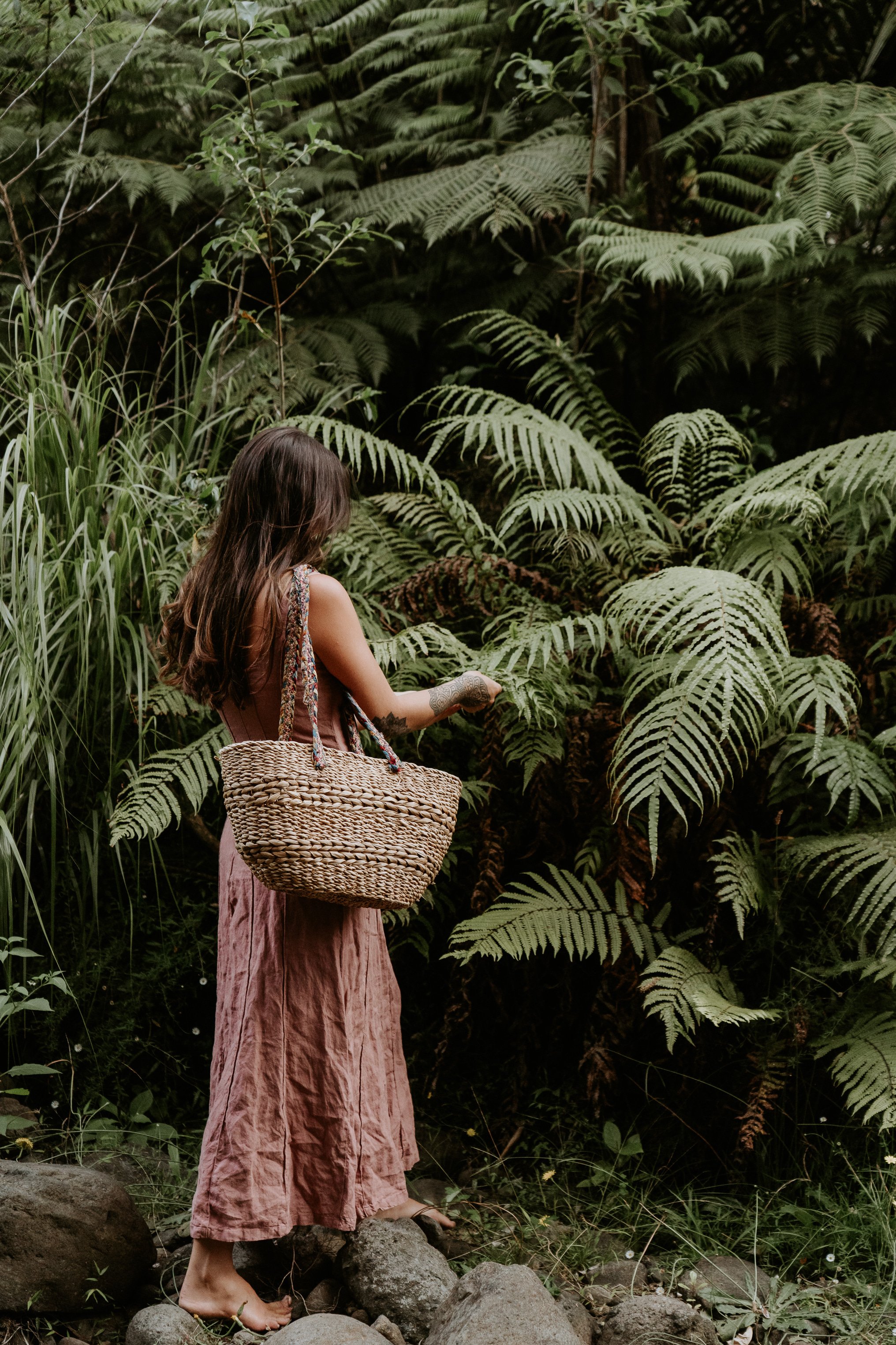 Return to the Wild: Spring Foraging Workshop